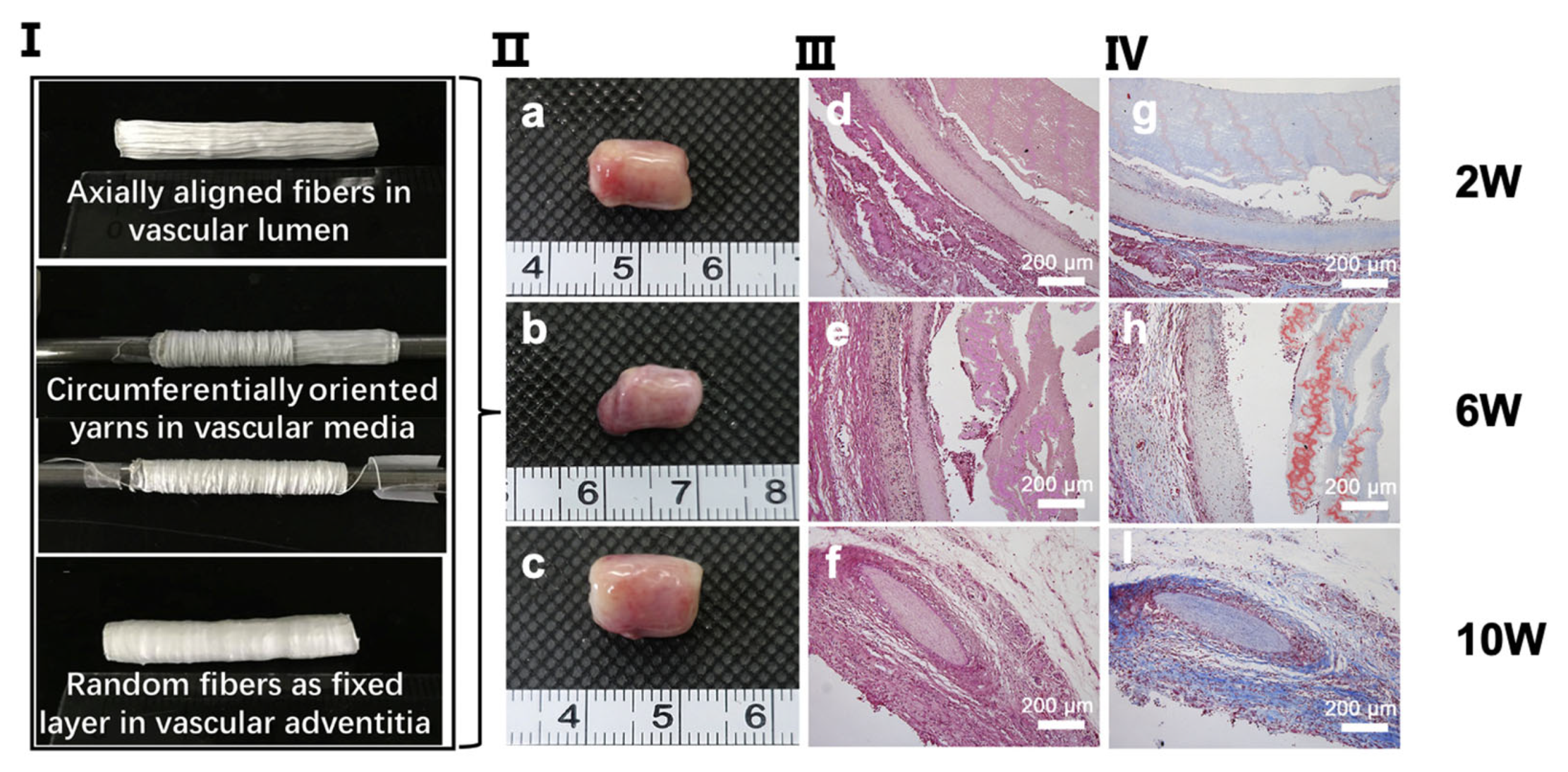 Biomimetics 07 00131 g003