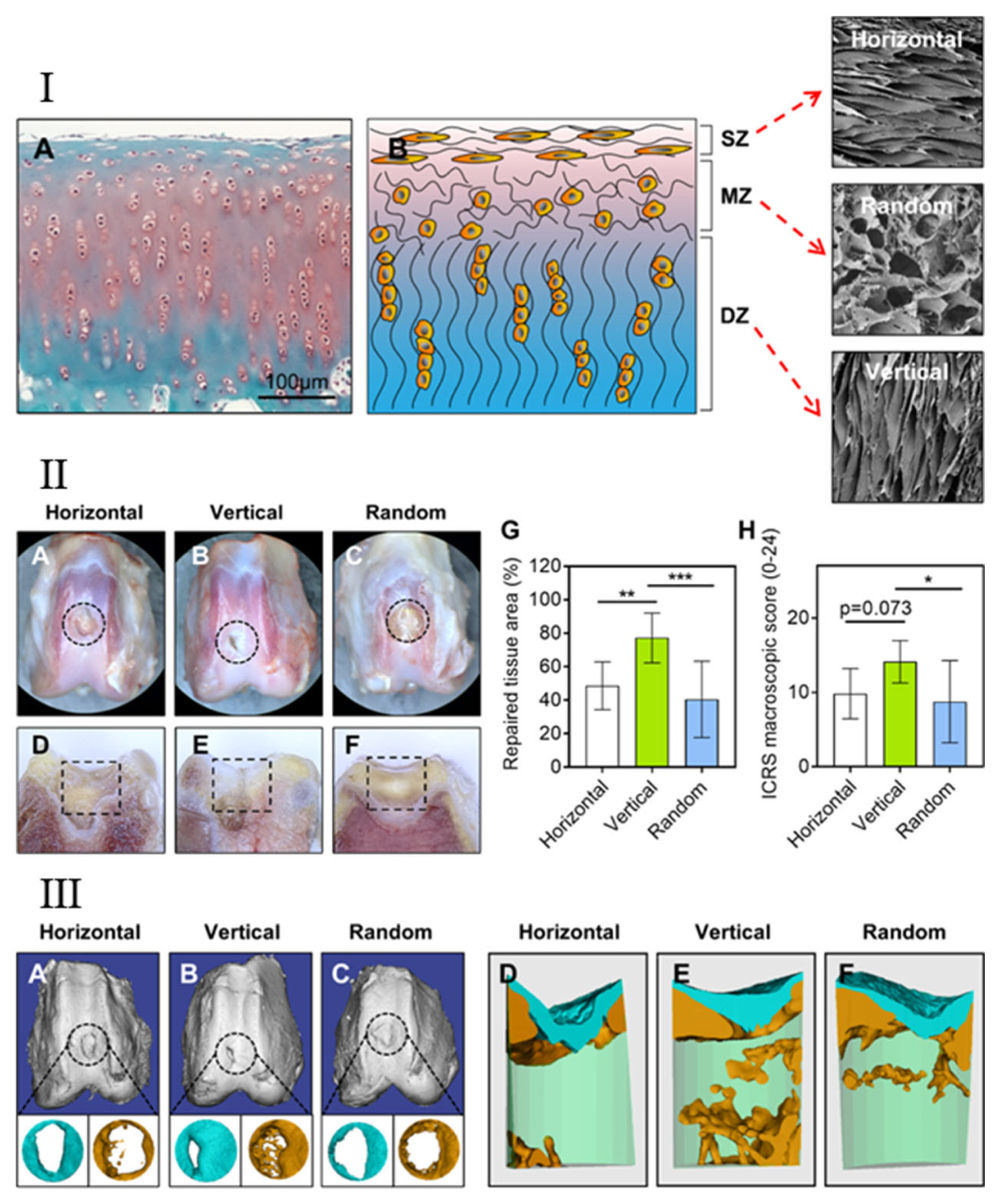 Biomimetics 07 00131 g004