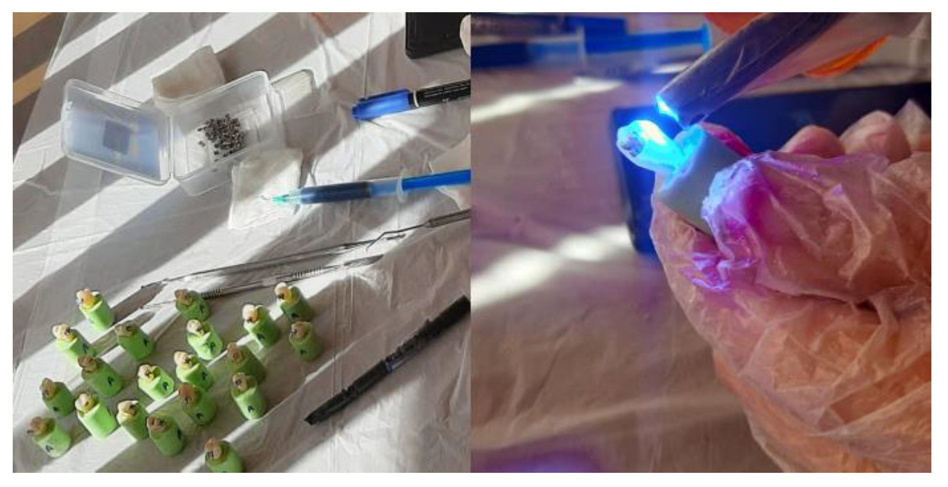 Biomimetics 07 00133 g001