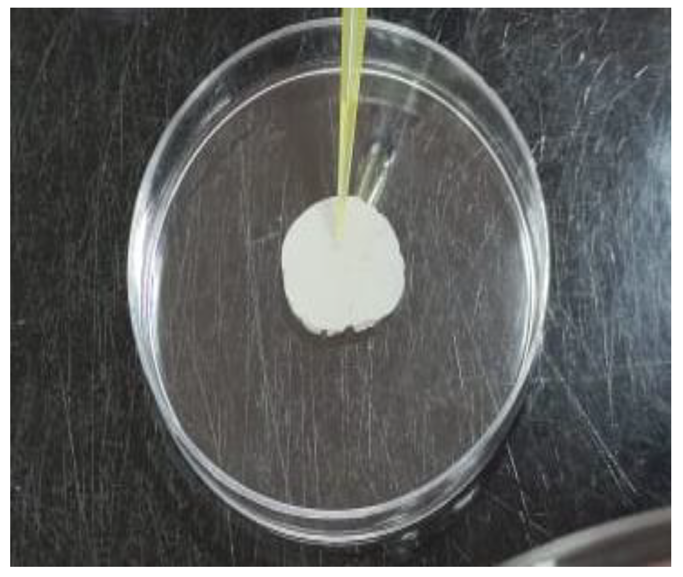 Biomimetics 07 00133 g003