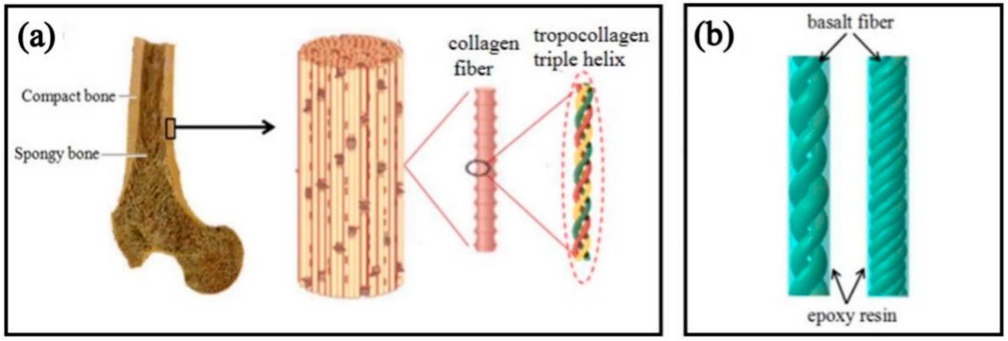 Biomimetics 07 00135 g001 Biomimetics 07 00135 g001