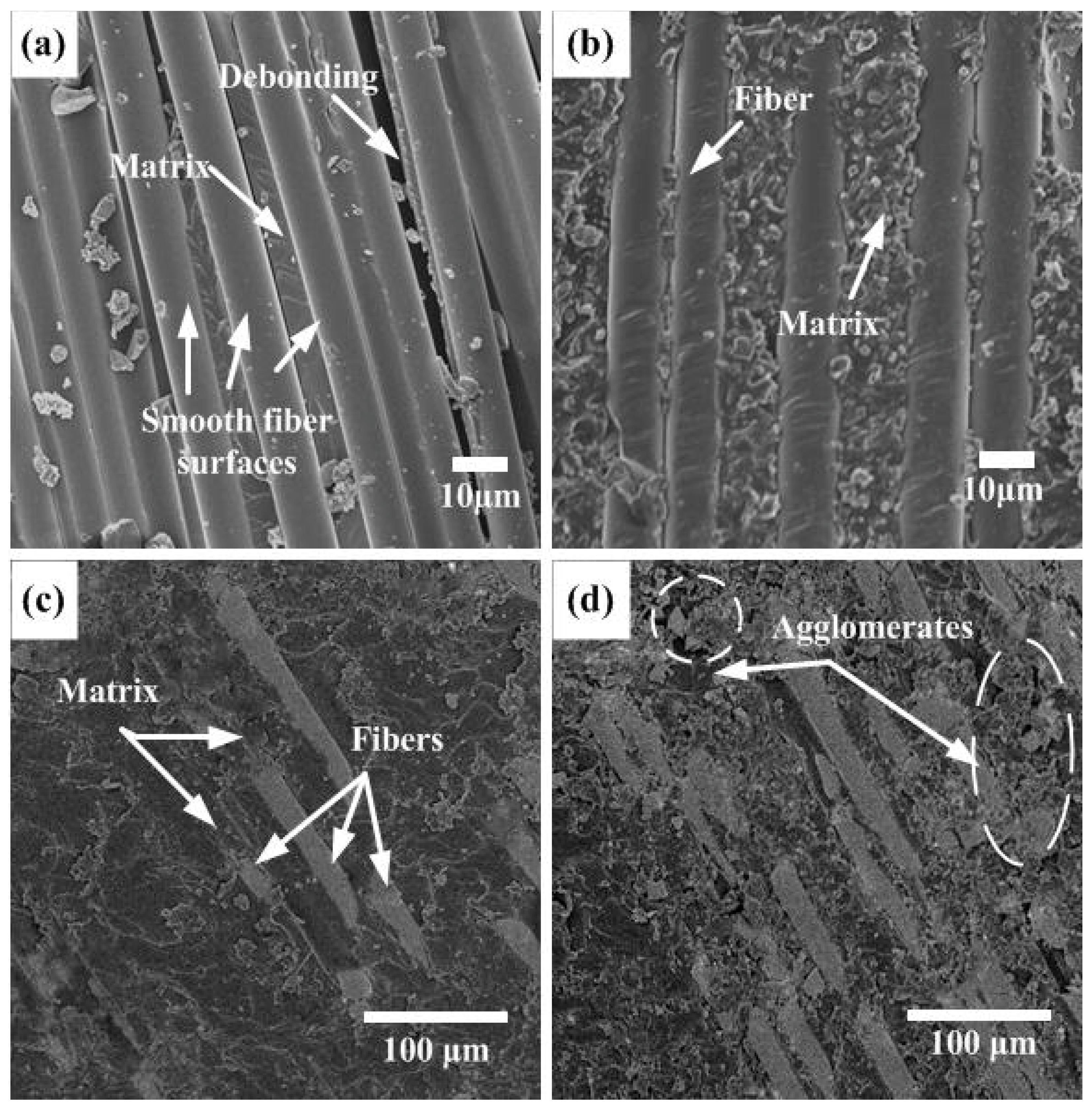 Biomimetics 07 00135 g007 Biomimetics 07 00135 g007
