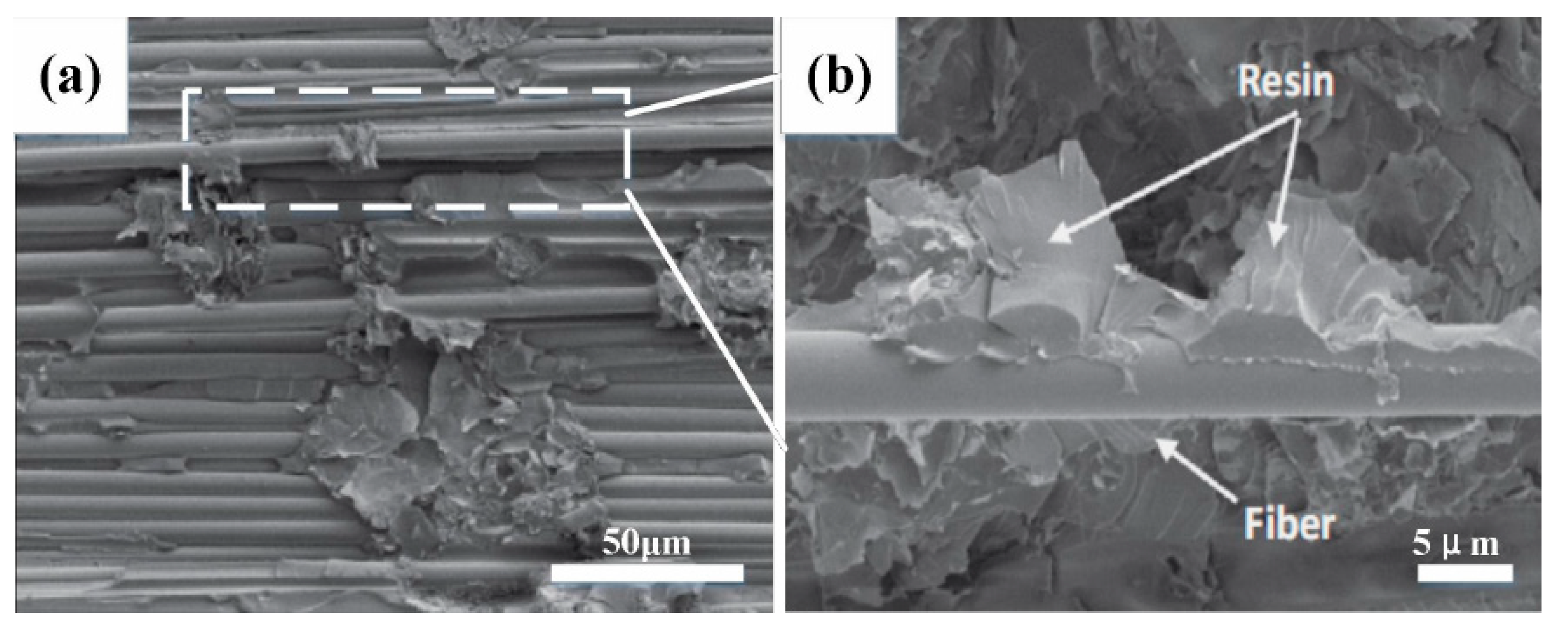 Biomimetics 07 00135 g009 Biomimetics 07 00135 g009