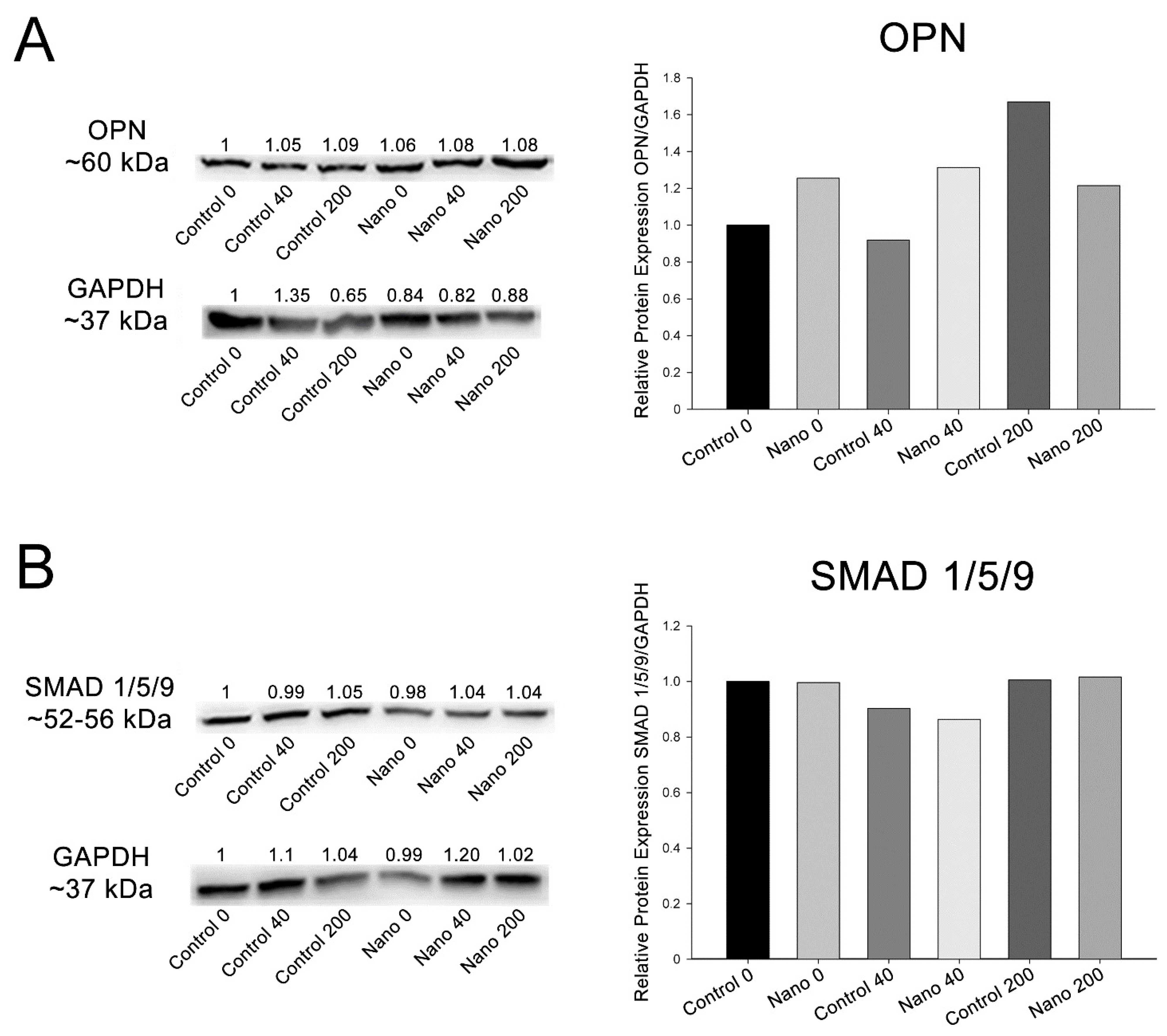 Biomimetics 07 00136 g005 Biomimetics 07 00136 g005
