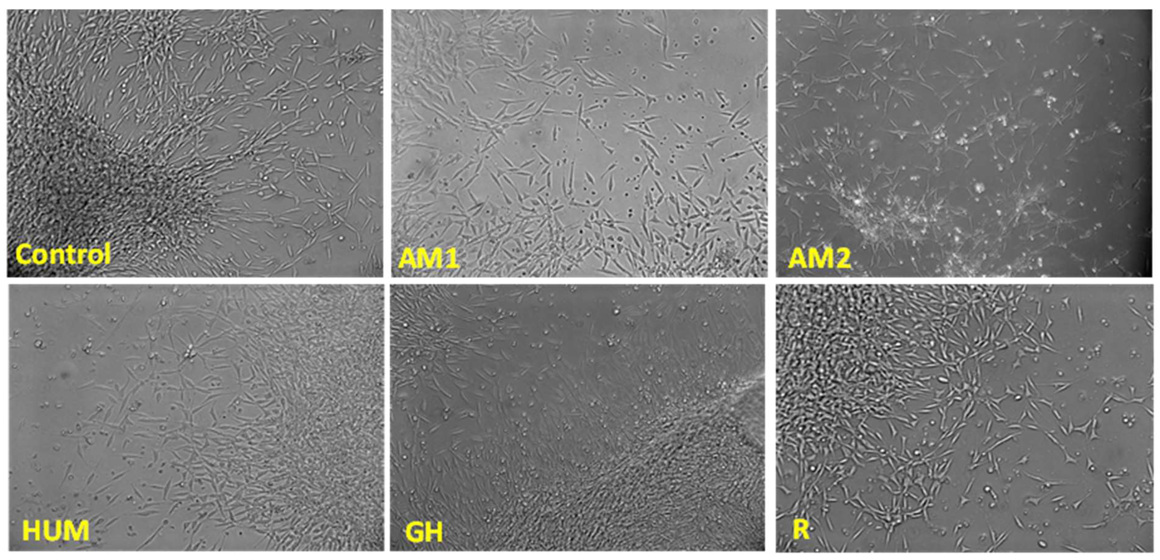 Biomimetics 07 00137 g011 Biomimetics 07 00137 g011