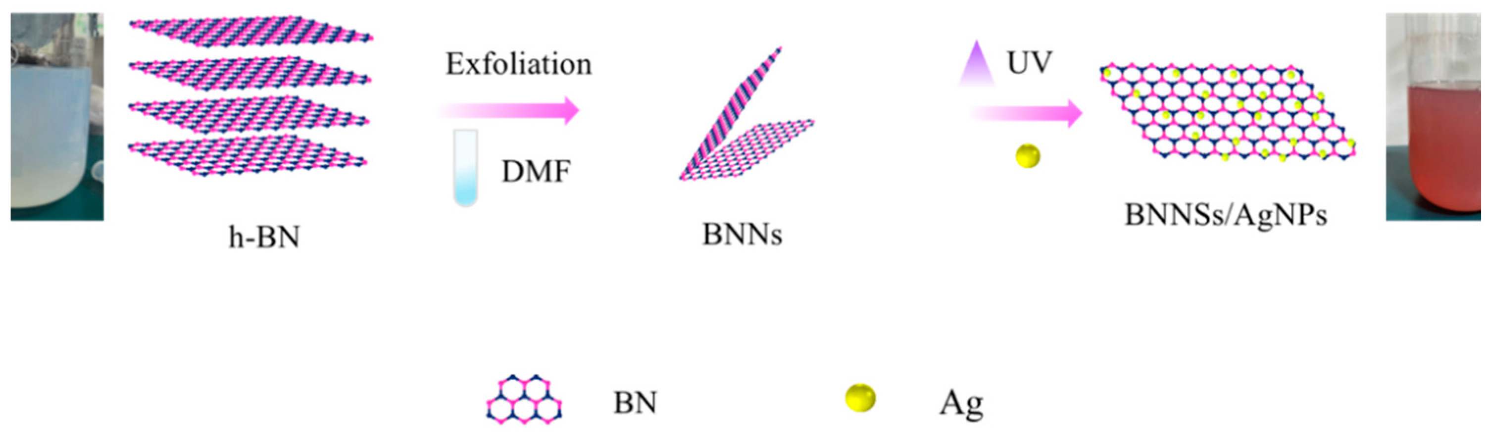 Biomimetics 07 00138 g001 550