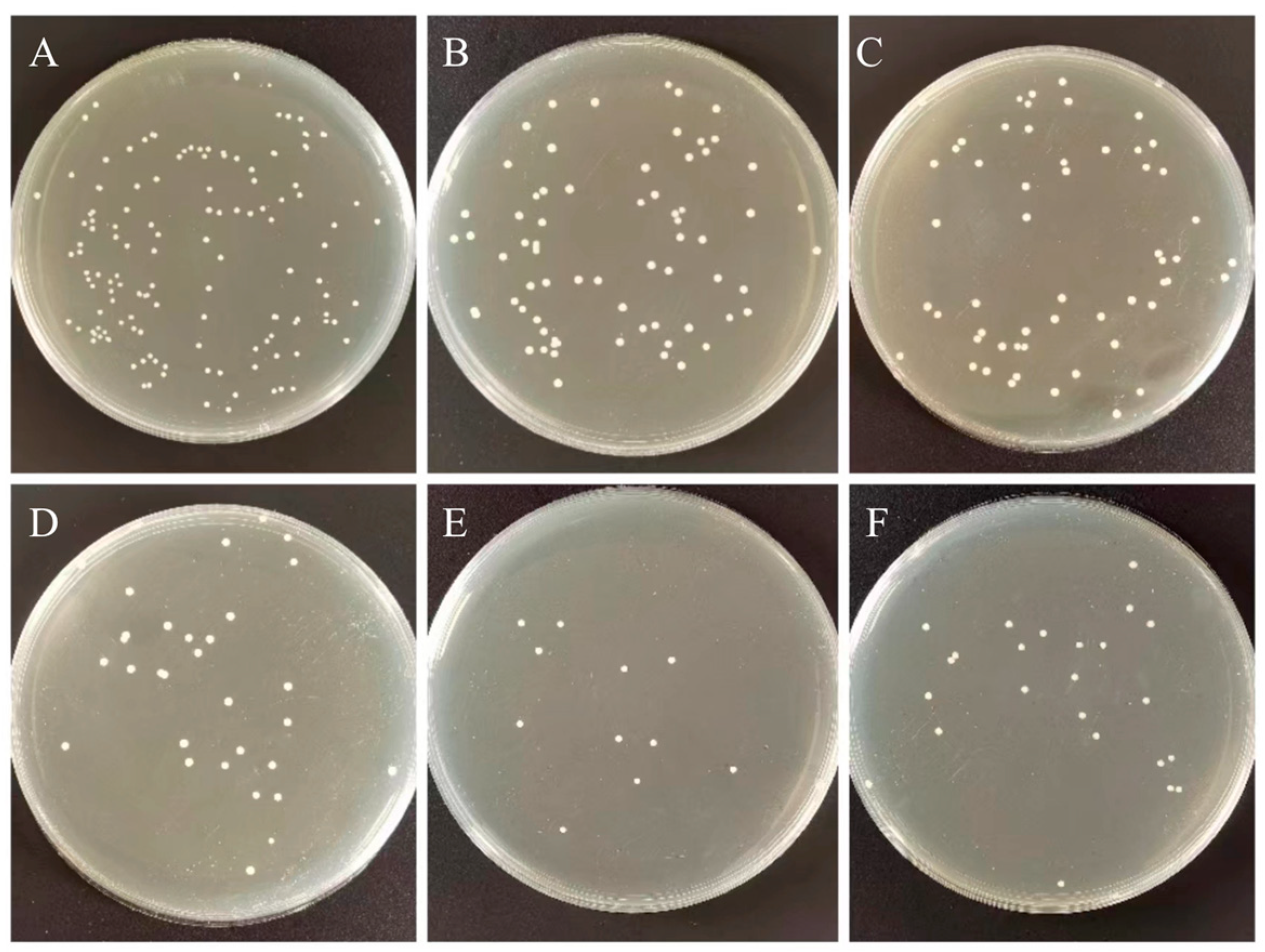 Biomimetics 07 00138 g006 550