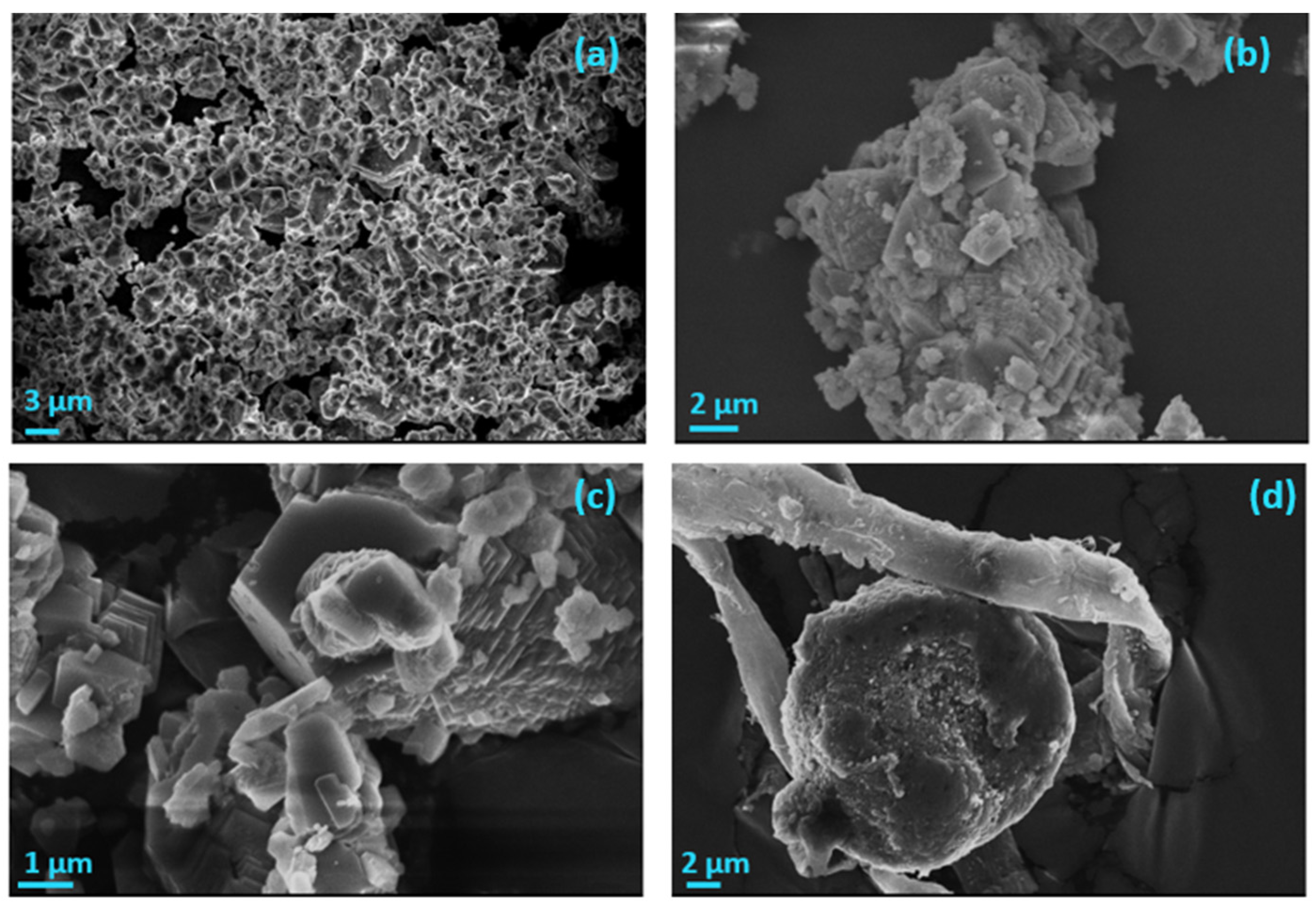 Biomimetics 07 00140 g018 Biomimetics 07 00140 g018