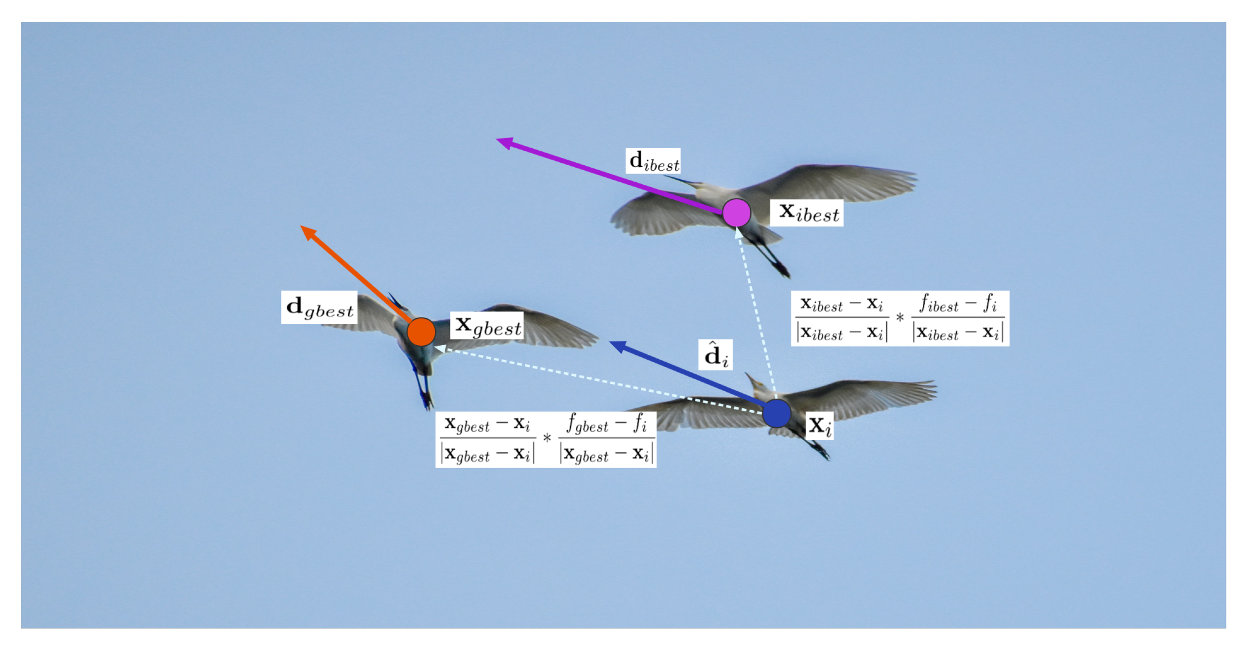 Biomimetics 07 00144 g004