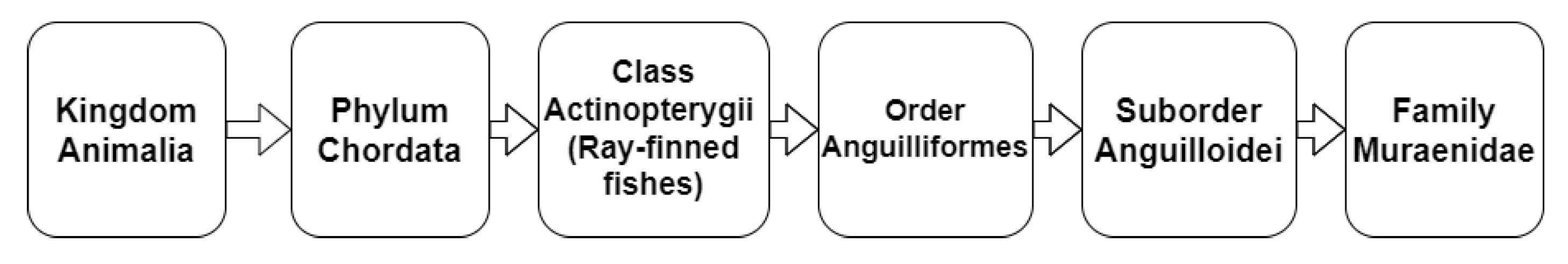 Biomimetics 07 00145 g001