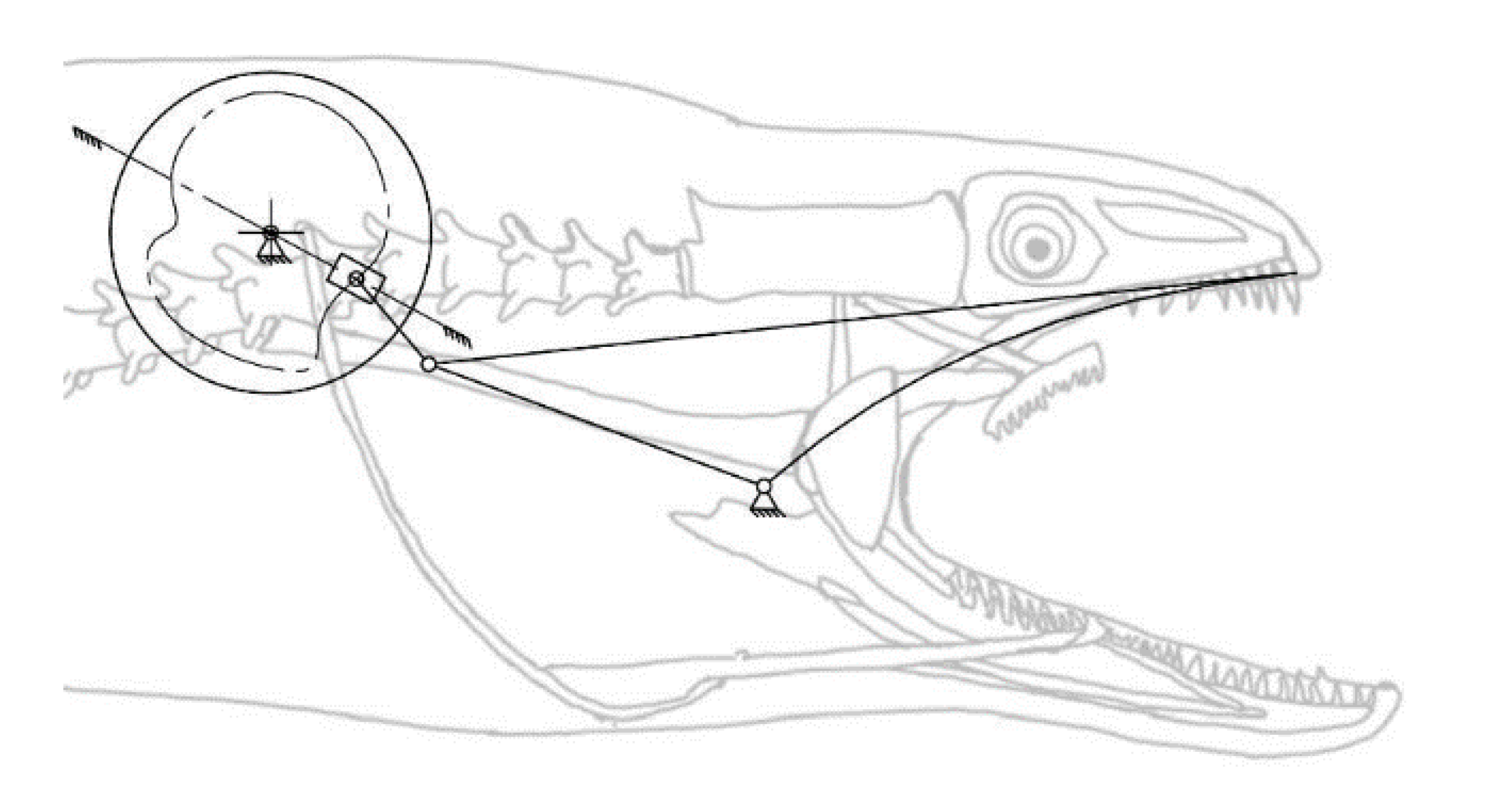 Biomimetics 07 00145 g006