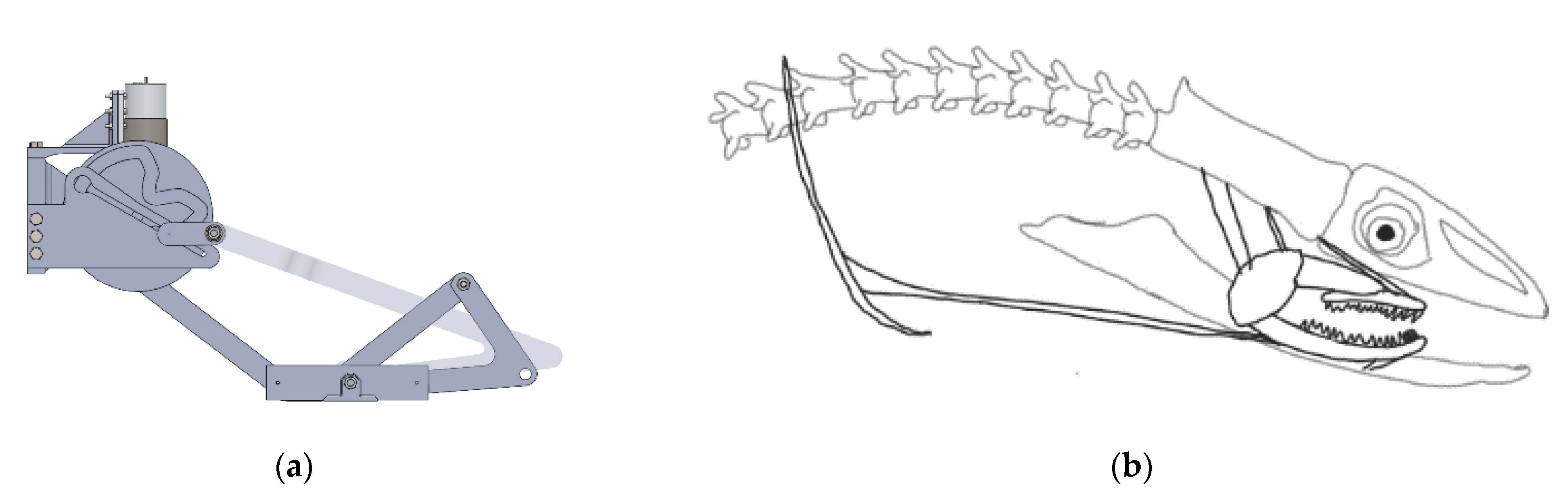 Biomimetics 07 00145 g019