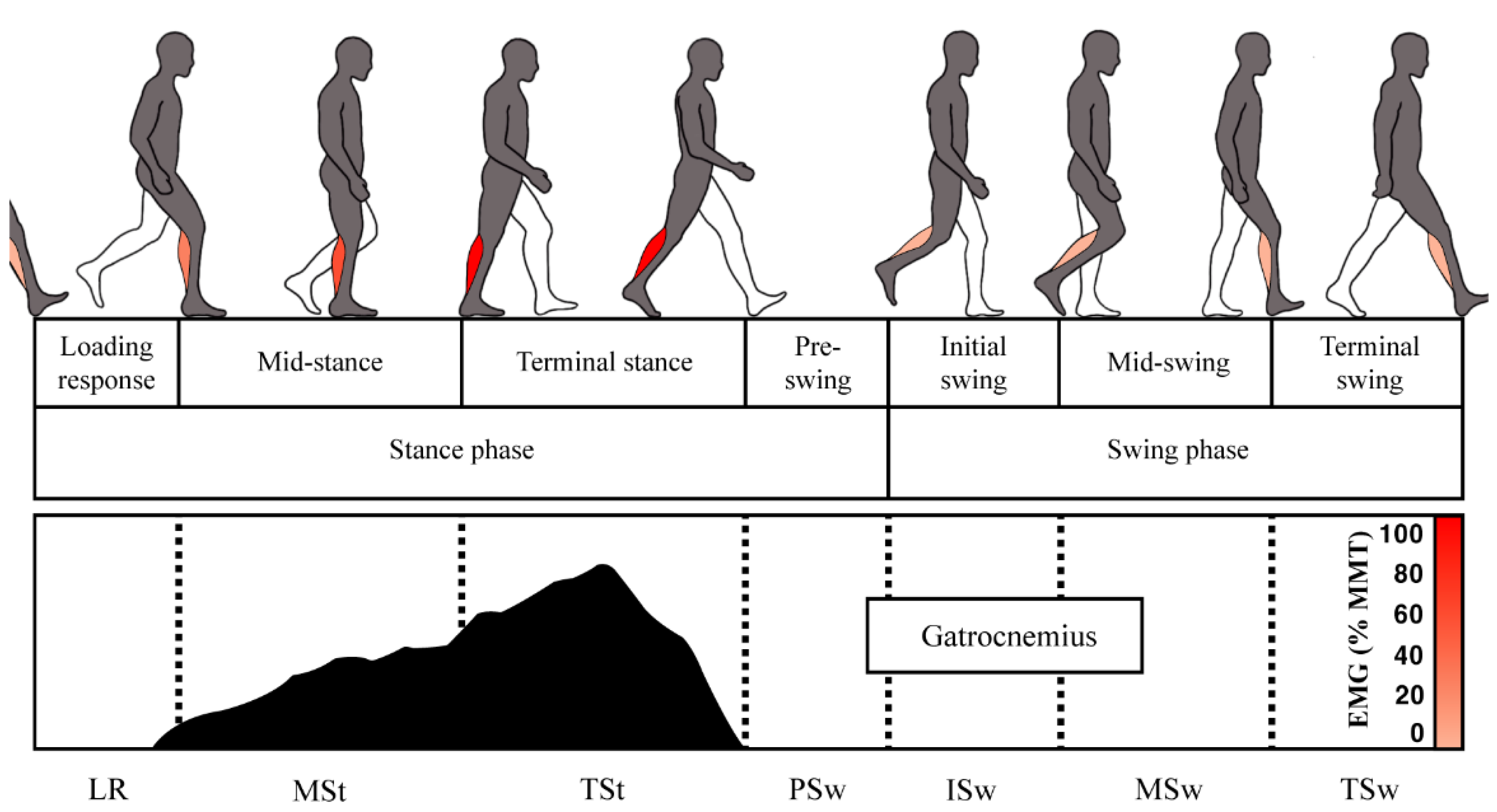 Biomimetics 07 00148 g002