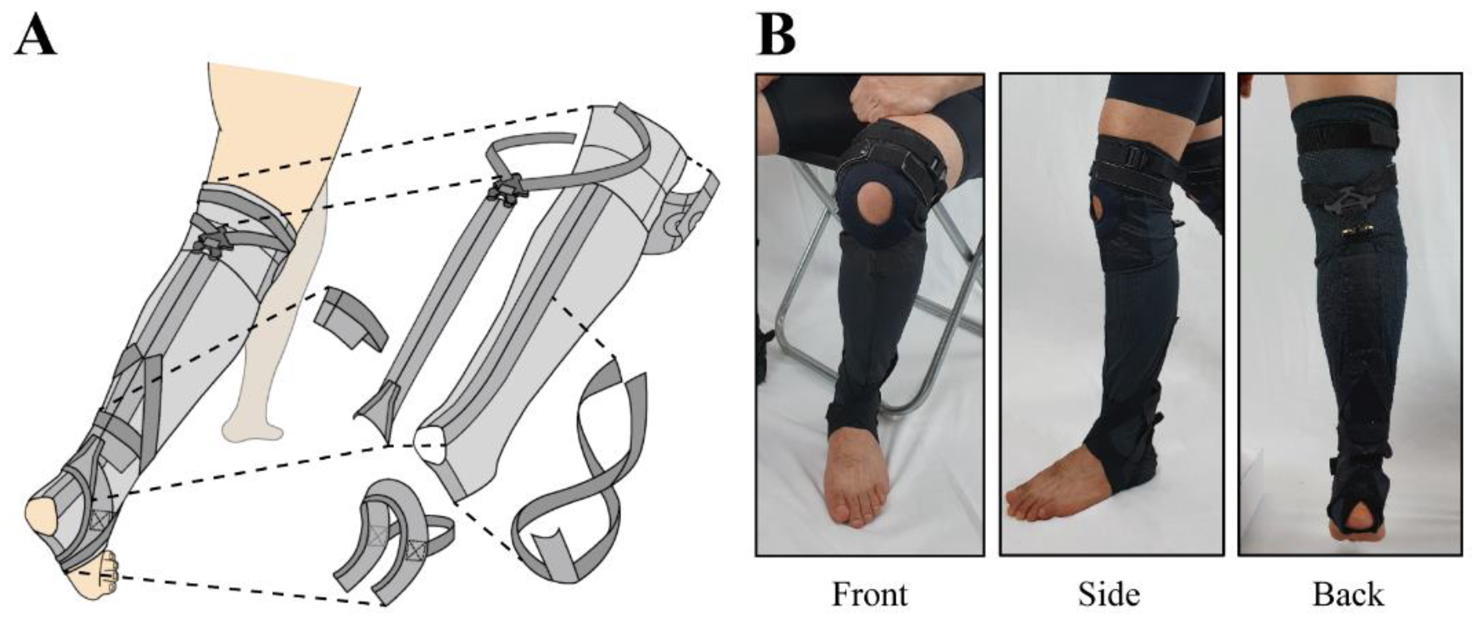 Biomimetics 07 00148 g003