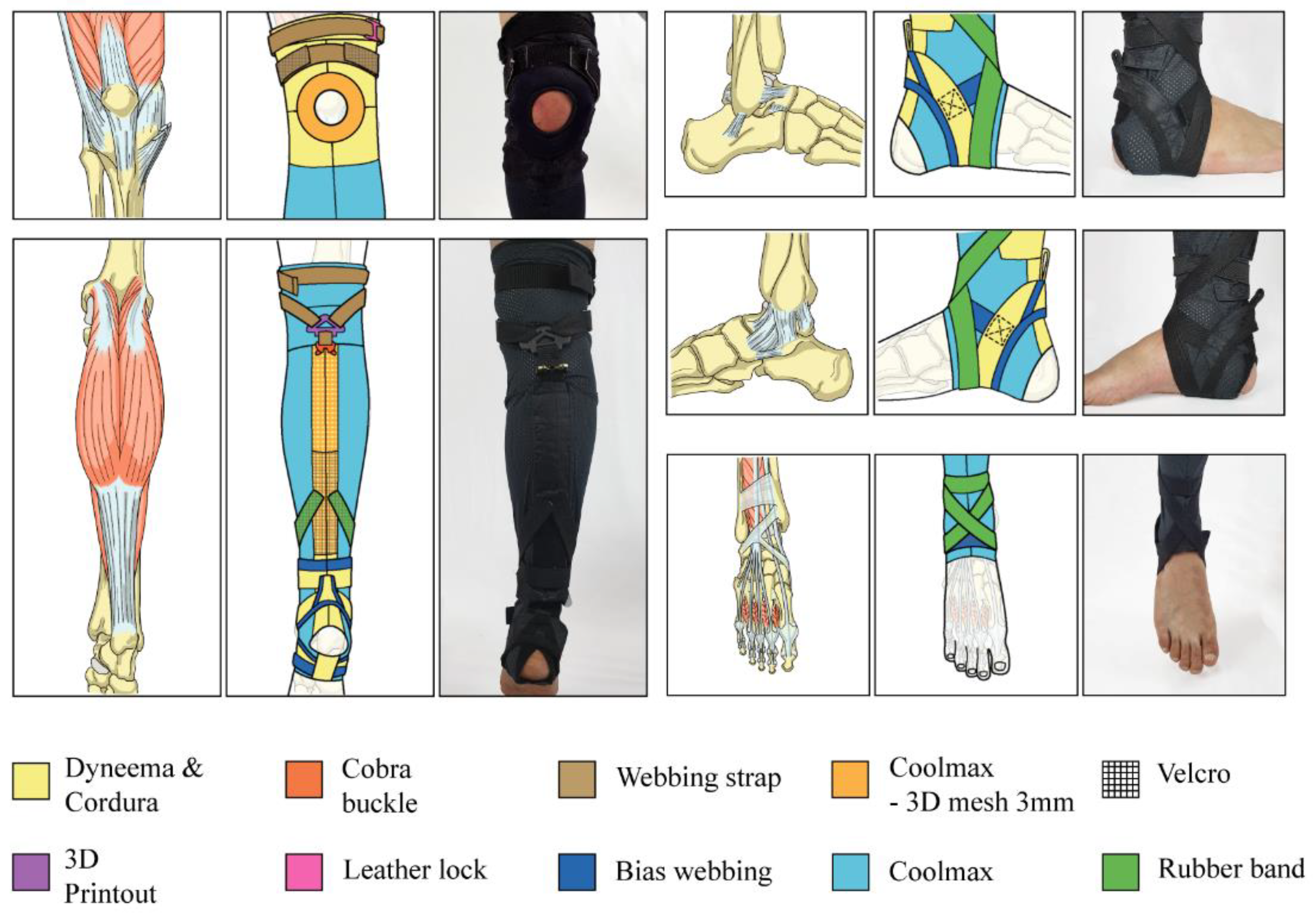 Biomimetics 07 00148 g005