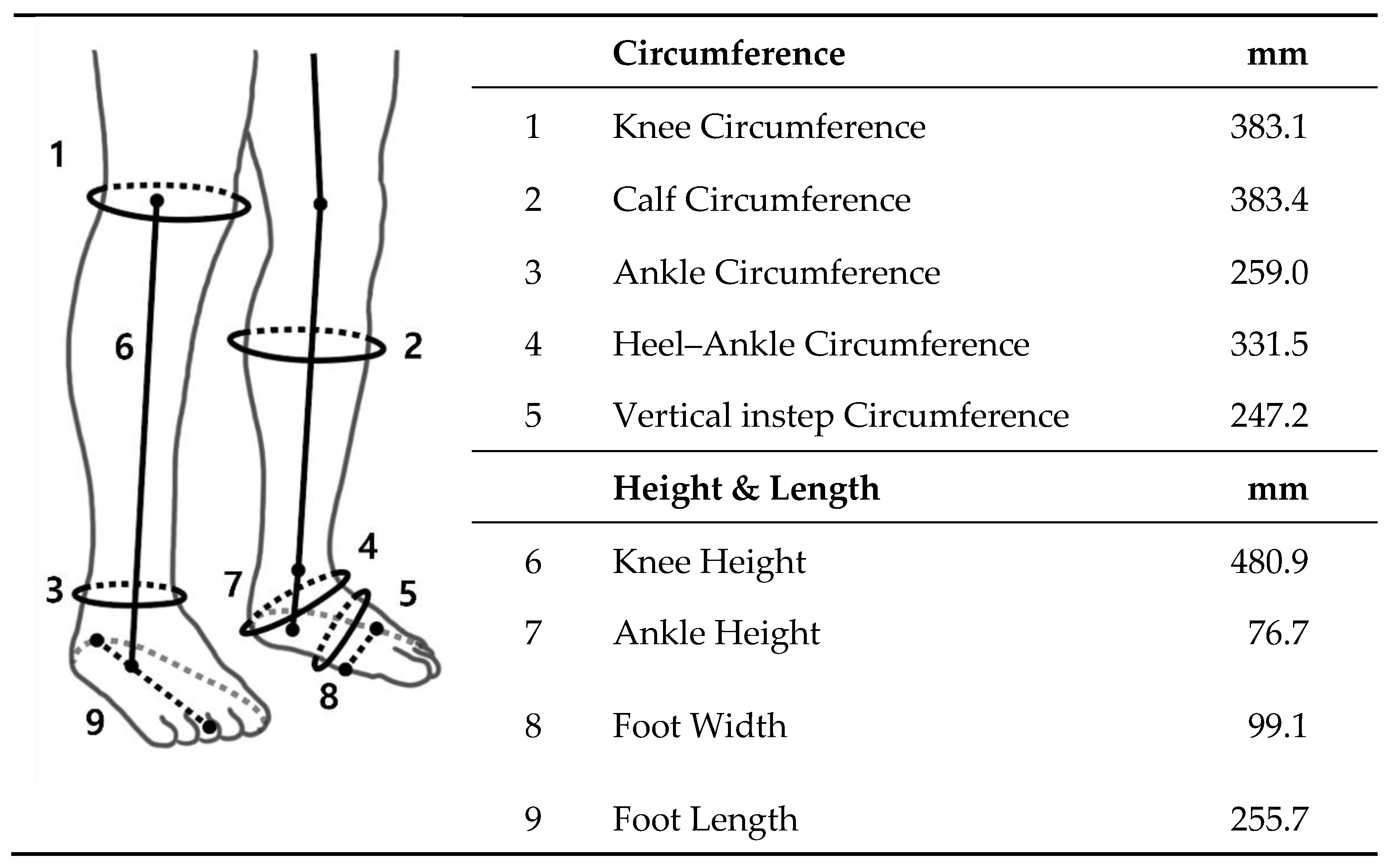 Biomimetics 07 00148 g006
