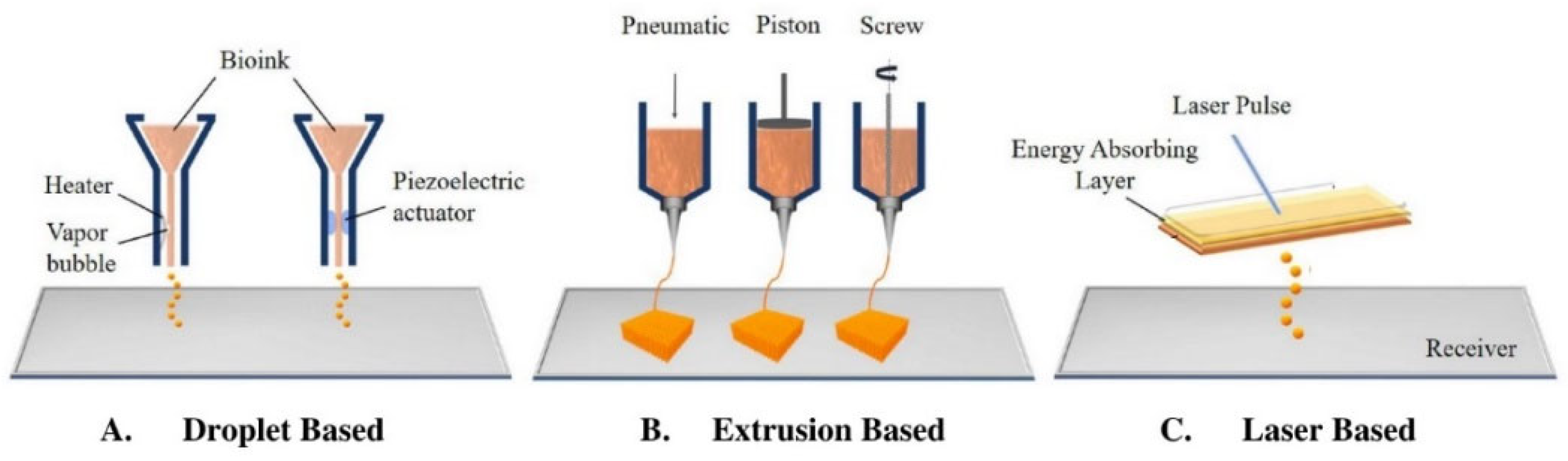 Biomimetics 07 00151 g002 Biomimetics 07 00151 g002