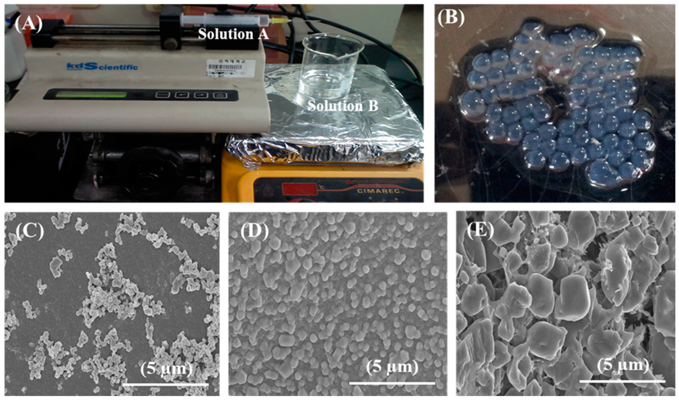 Biomimetics 07 00152 g001 Biomimetics 07 00152 g001