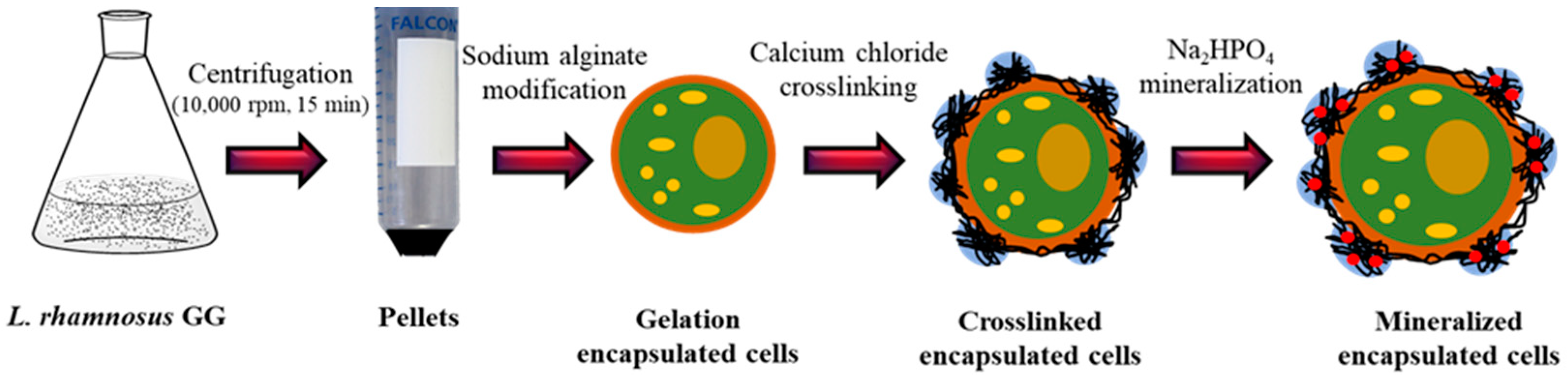 Biomimetics 07 00152 g003 Biomimetics 07 00152 g003