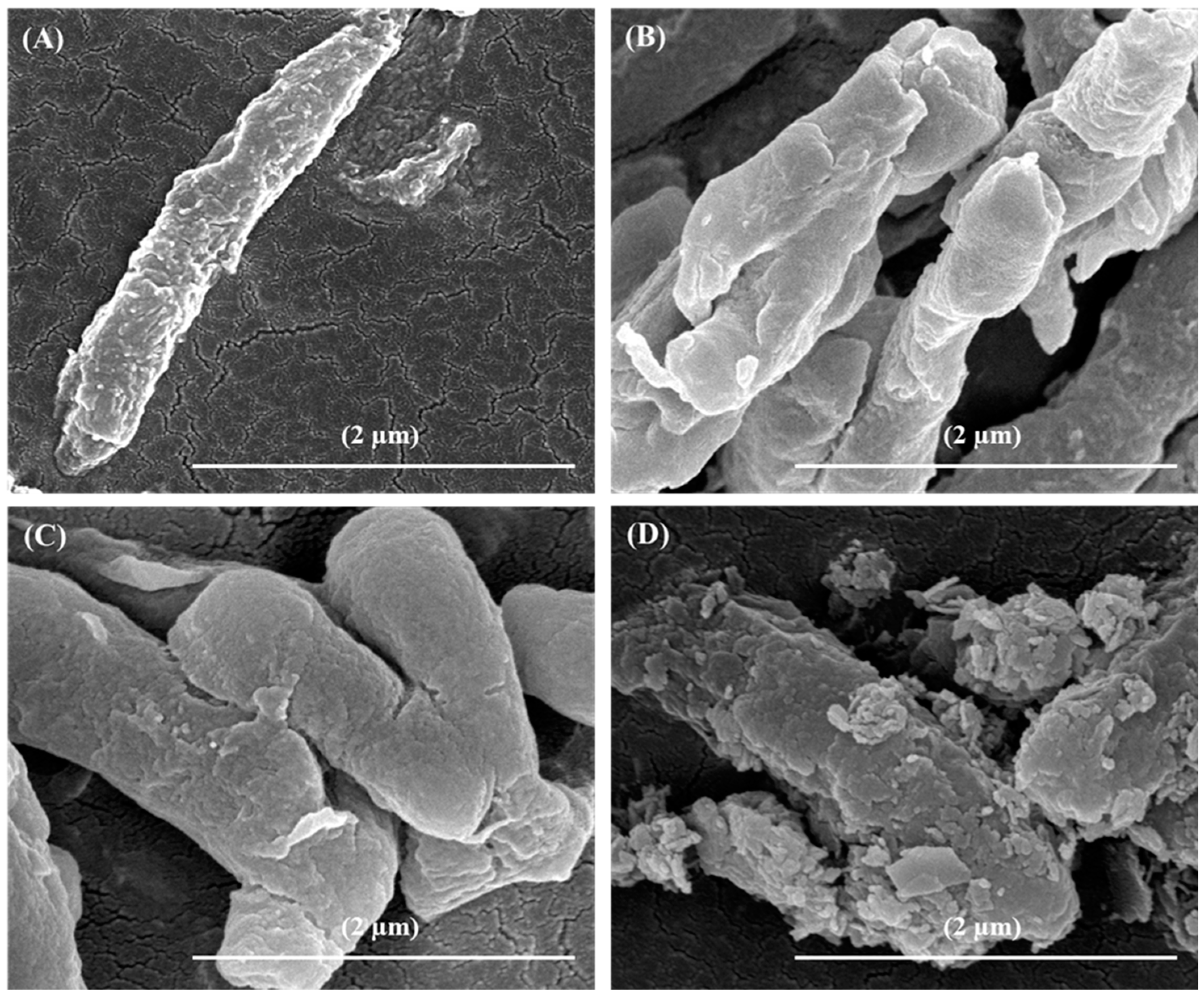 Biomimetics 07 00152 g004 Biomimetics 07 00152 g004