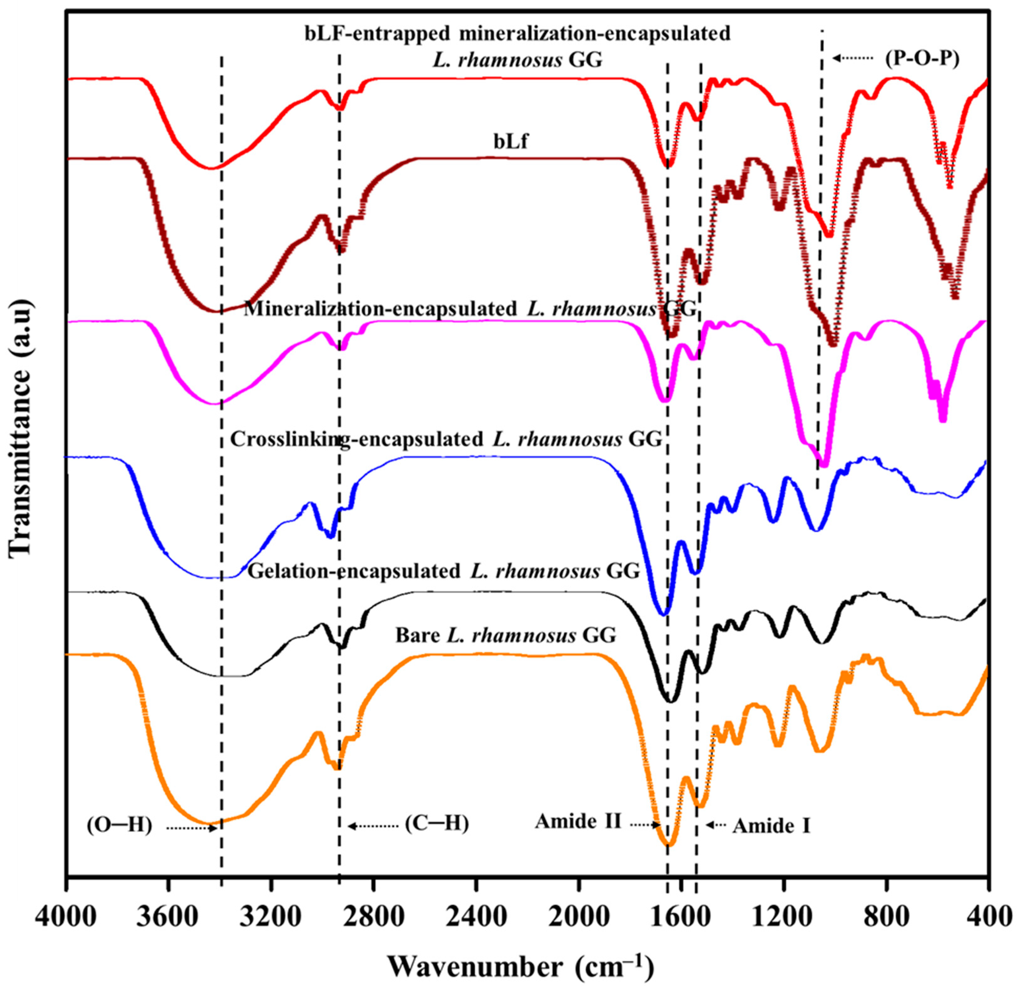 Biomimetics 07 00152 g006 Biomimetics 07 00152 g006