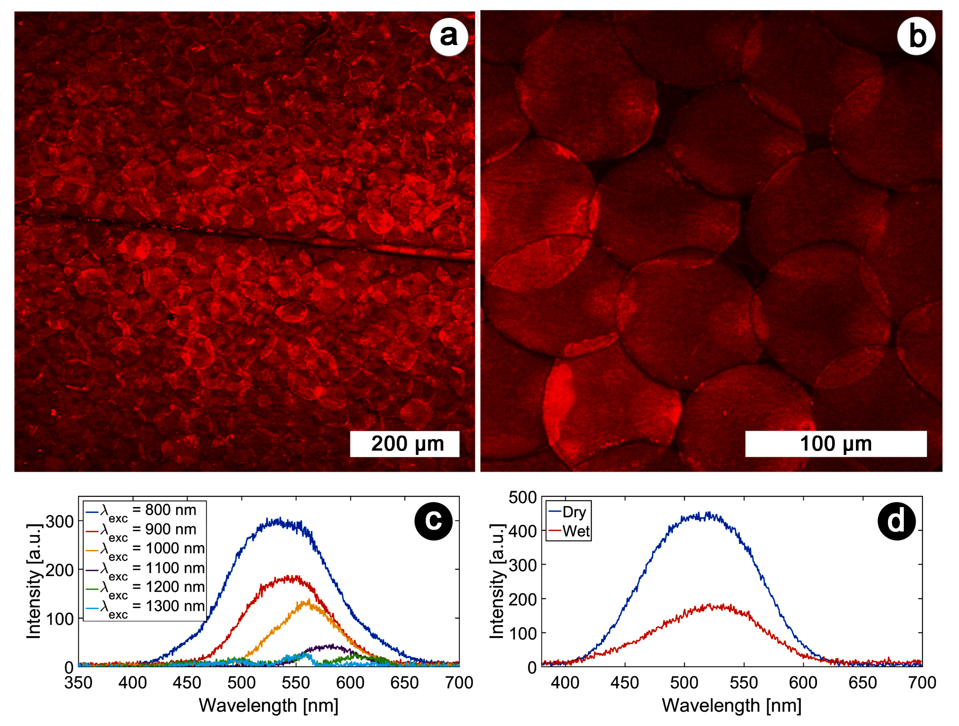 Biomimetics 07 00153 g006 Biomimetics 07 00153 g006