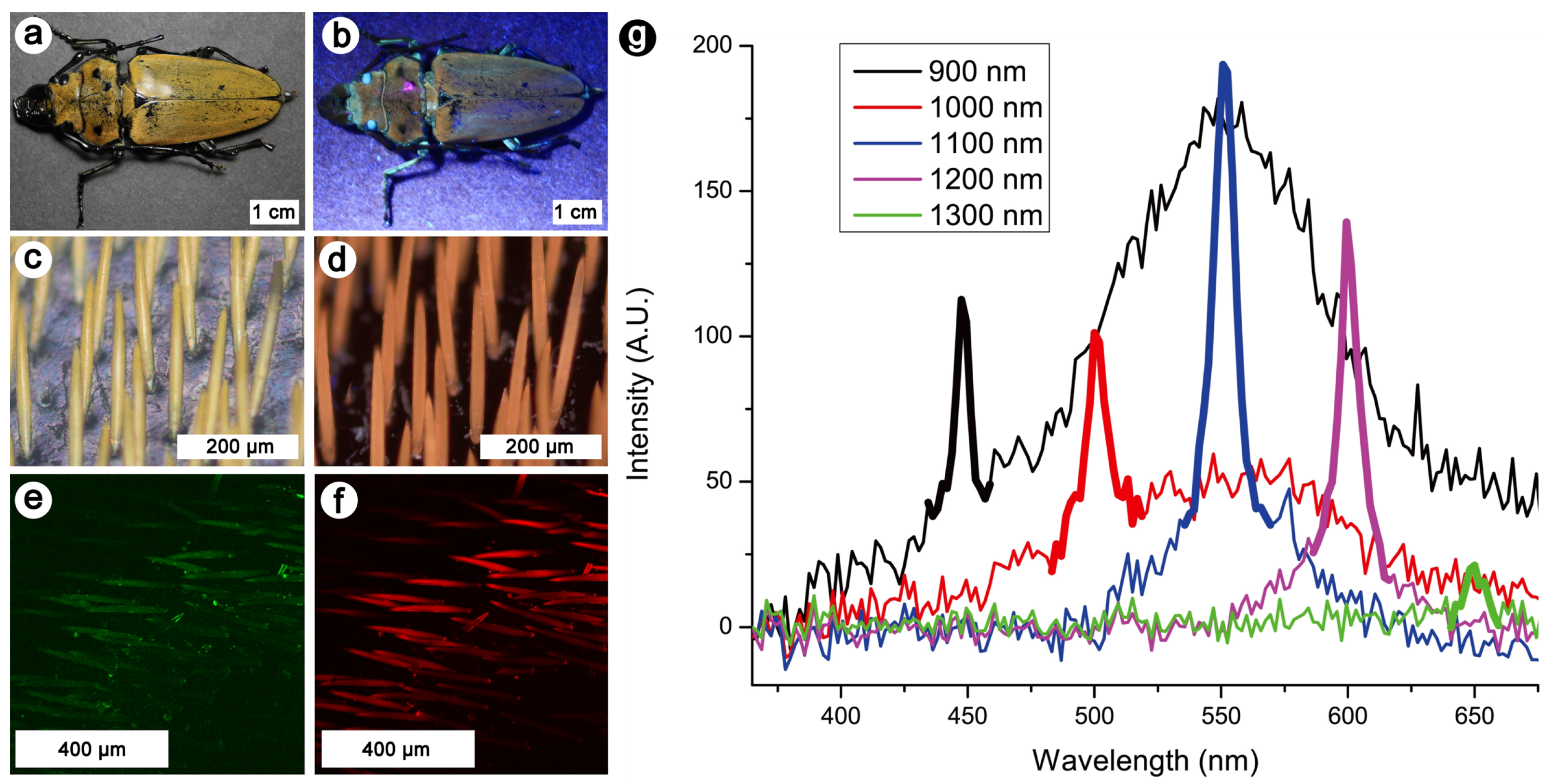 Biomimetics 07 00153 g007 Biomimetics 07 00153 g007