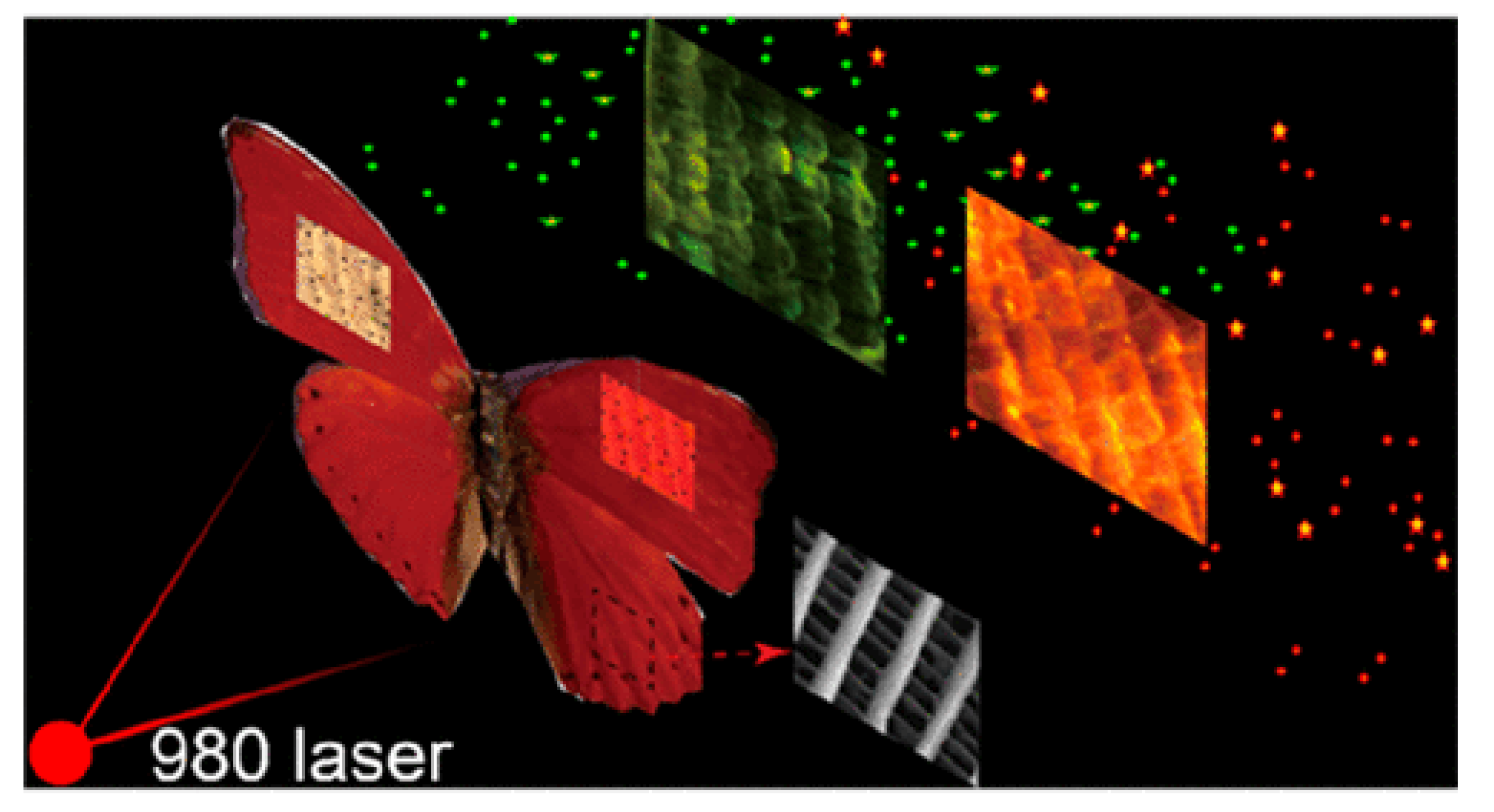 Biomimetics 07 00153 g009 Biomimetics 07 00153 g009