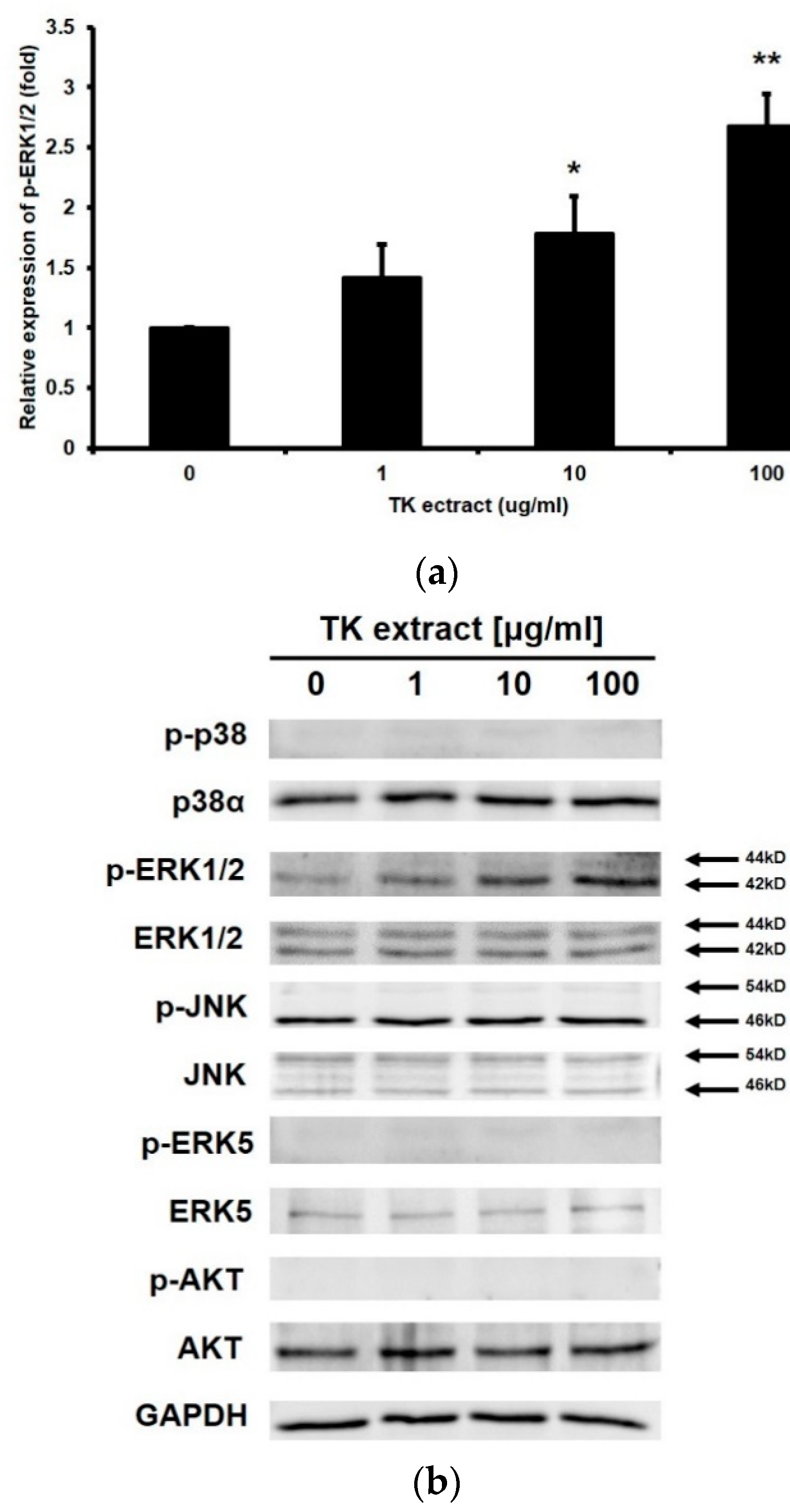 Biomimetics 07 00154 g003