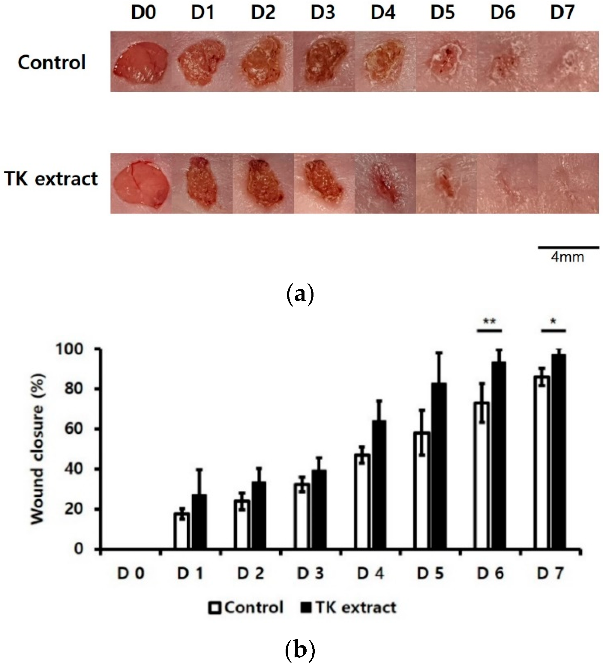 Biomimetics 07 00154 g007