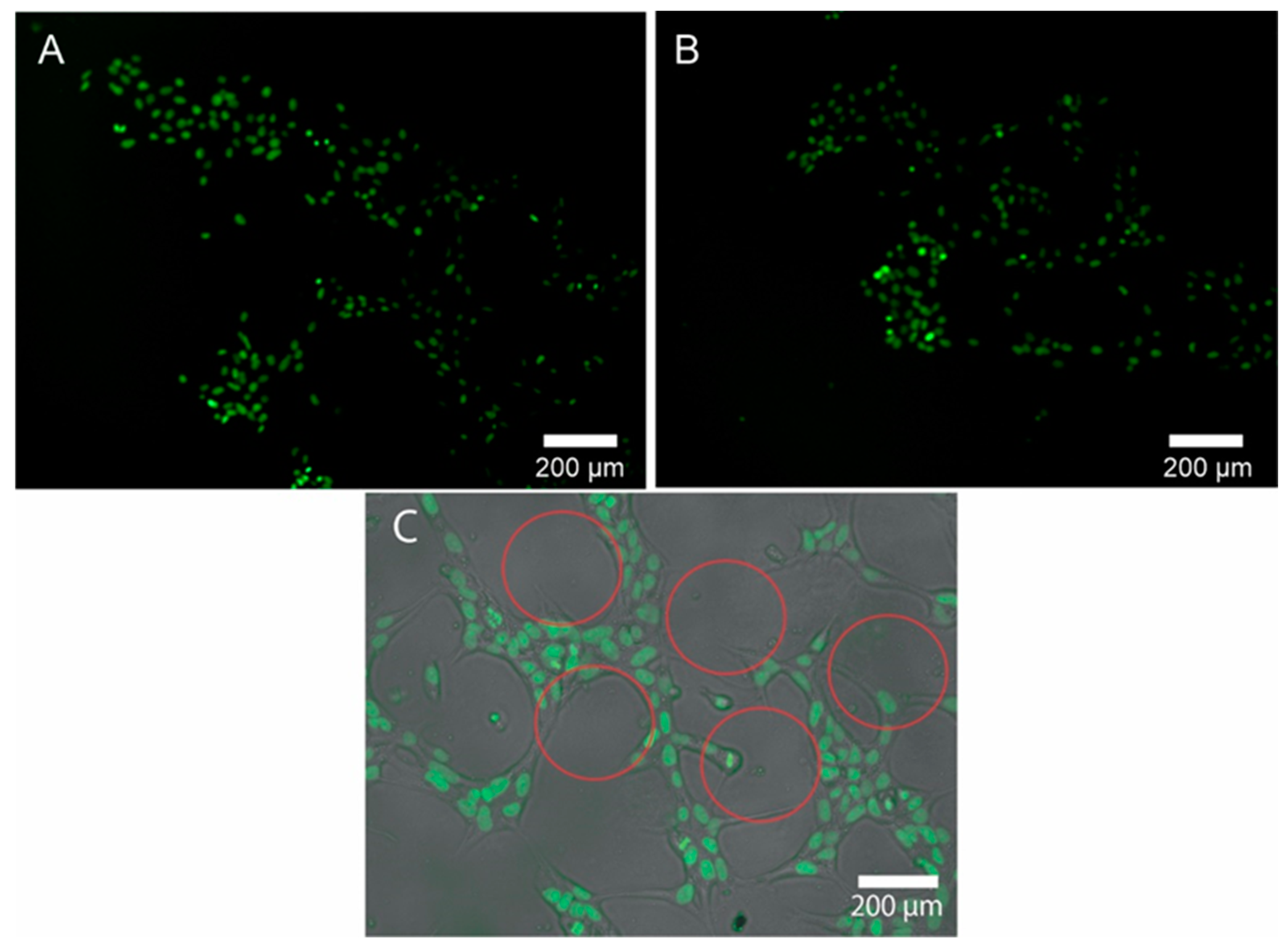 Biomimetics 07 00155 g004 Biomimetics 07 00155 g004