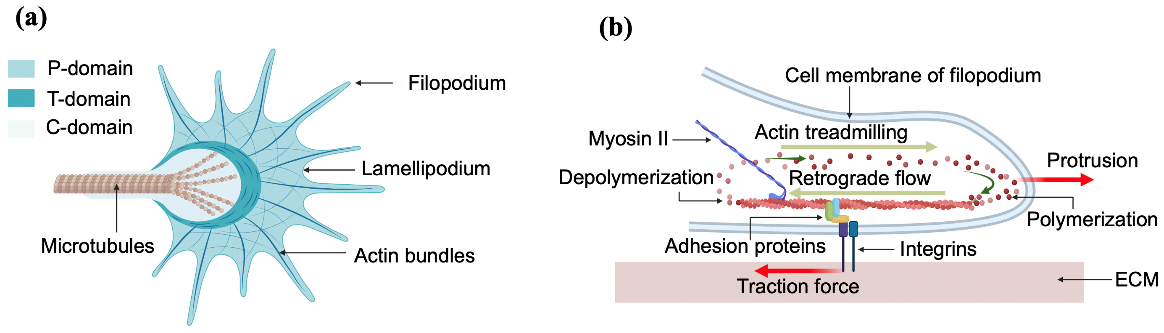 Biomimetics 07 00157 g001 Biomimetics 07 00157 g001