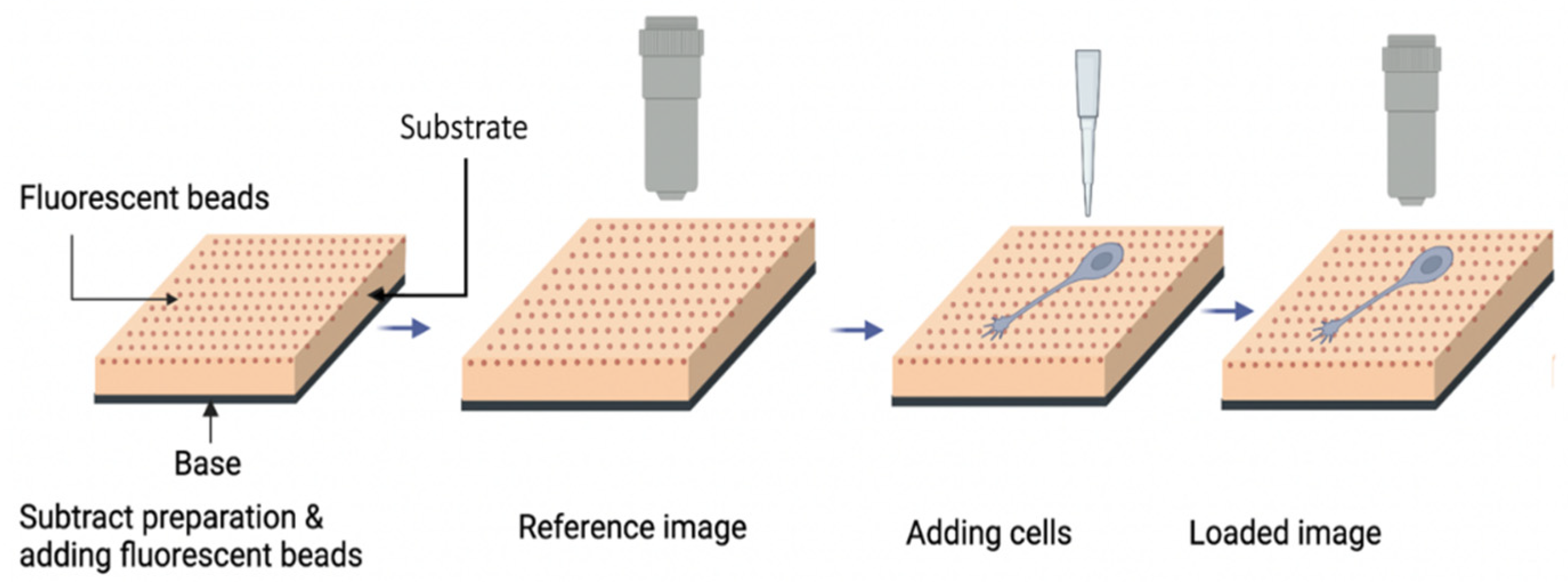 Biomimetics 07 00157 g002 Biomimetics 07 00157 g002