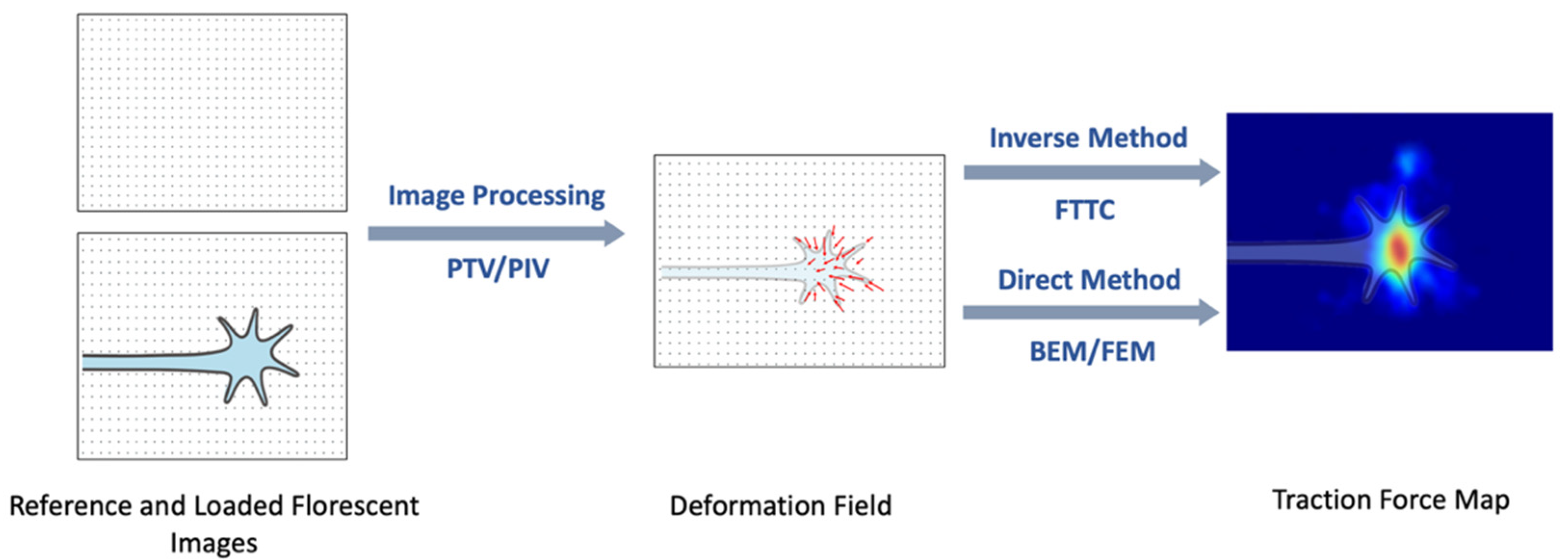 Biomimetics 07 00157 g003 Biomimetics 07 00157 g003