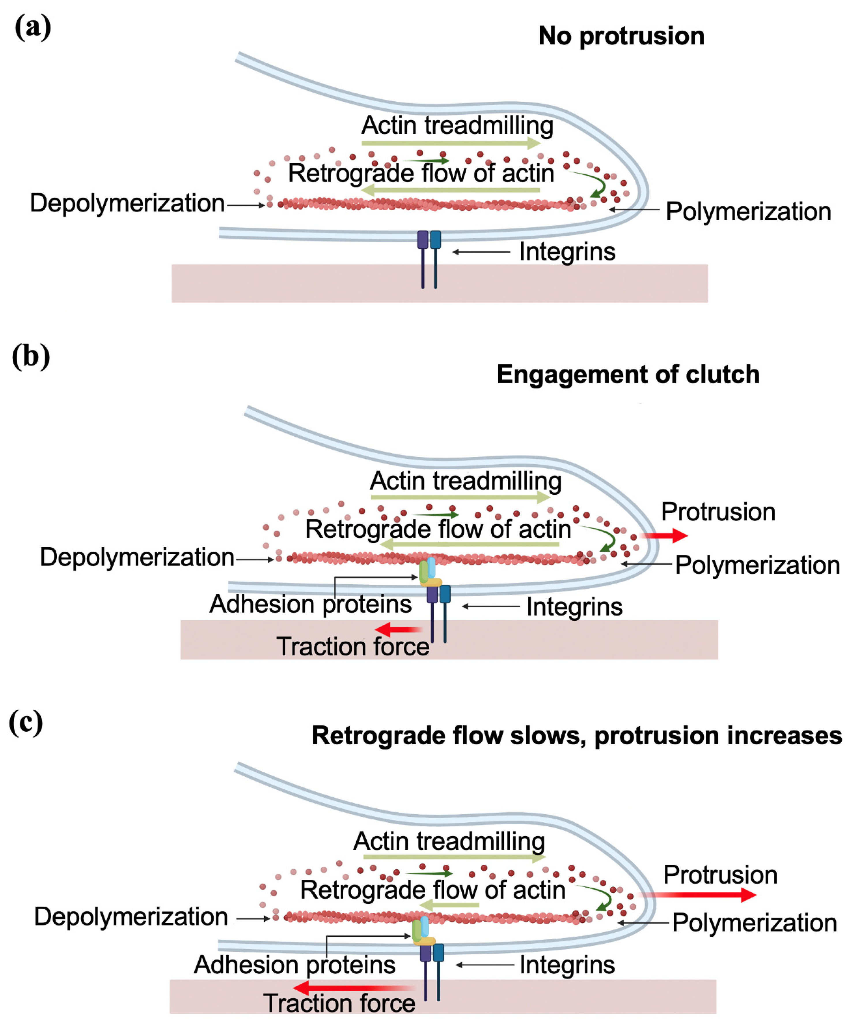 Biomimetics 07 00157 g010 Biomimetics 07 00157 g010