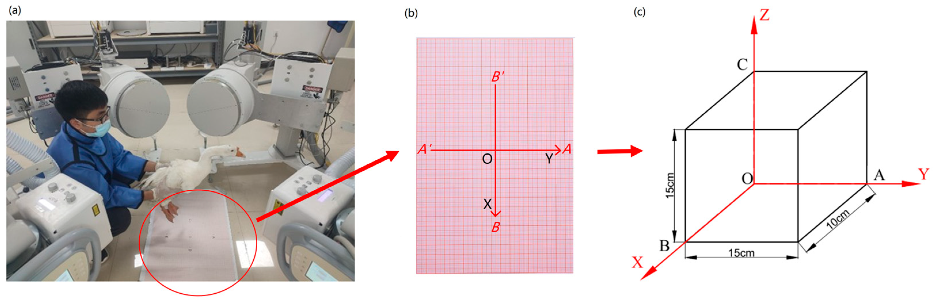 Biomimetics 07 00160 g003 Biomimetics 07 00160 g003