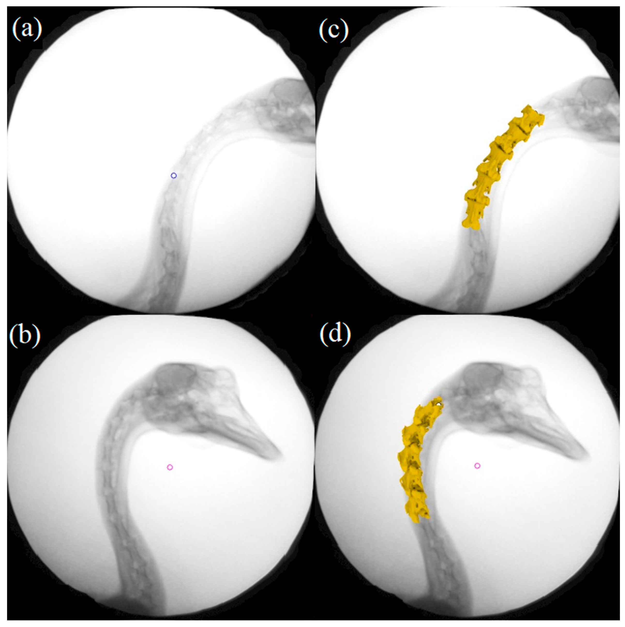 Biomimetics 07 00160 g004 Biomimetics 07 00160 g004