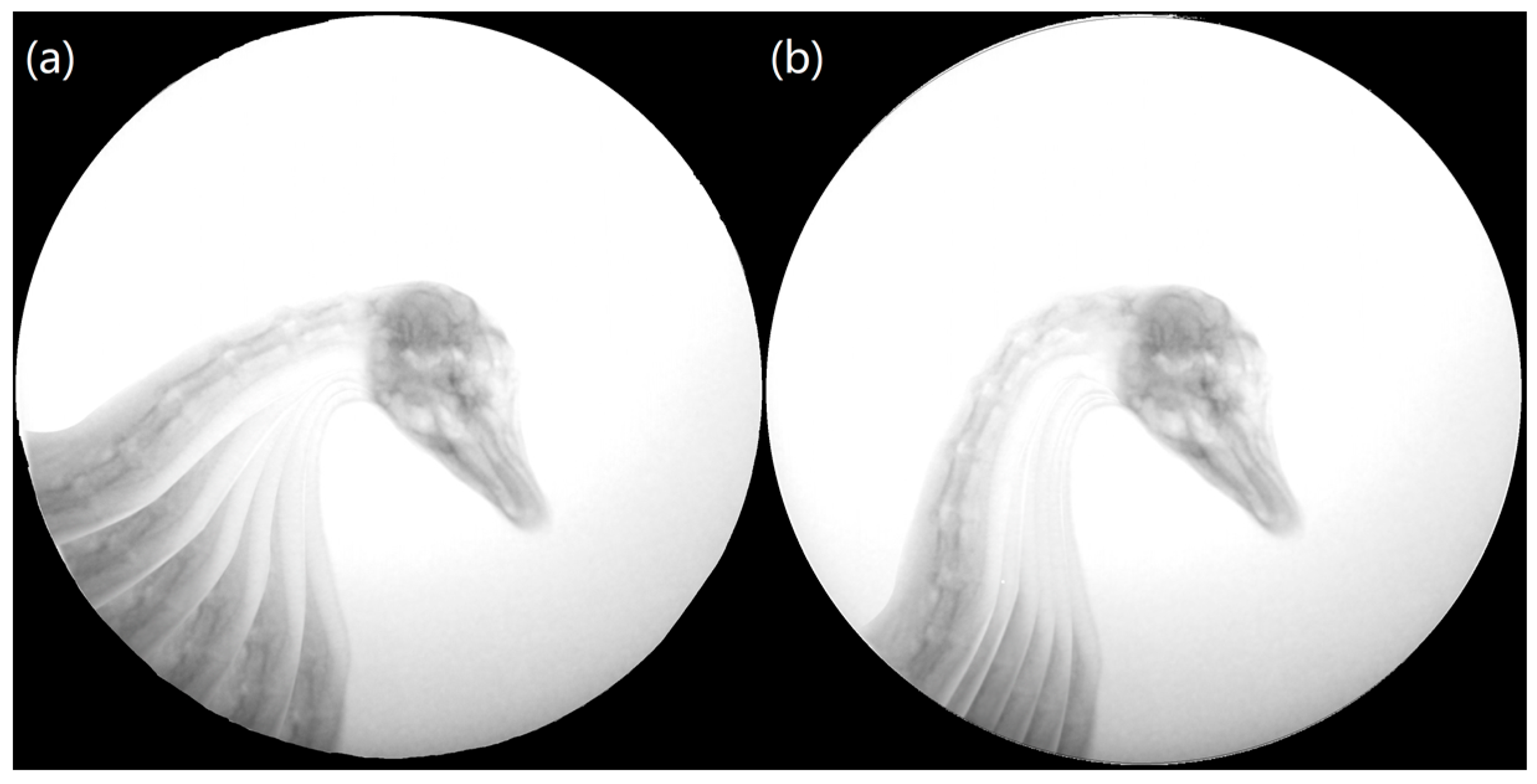 Biomimetics 07 00160 g005 Biomimetics 07 00160 g005