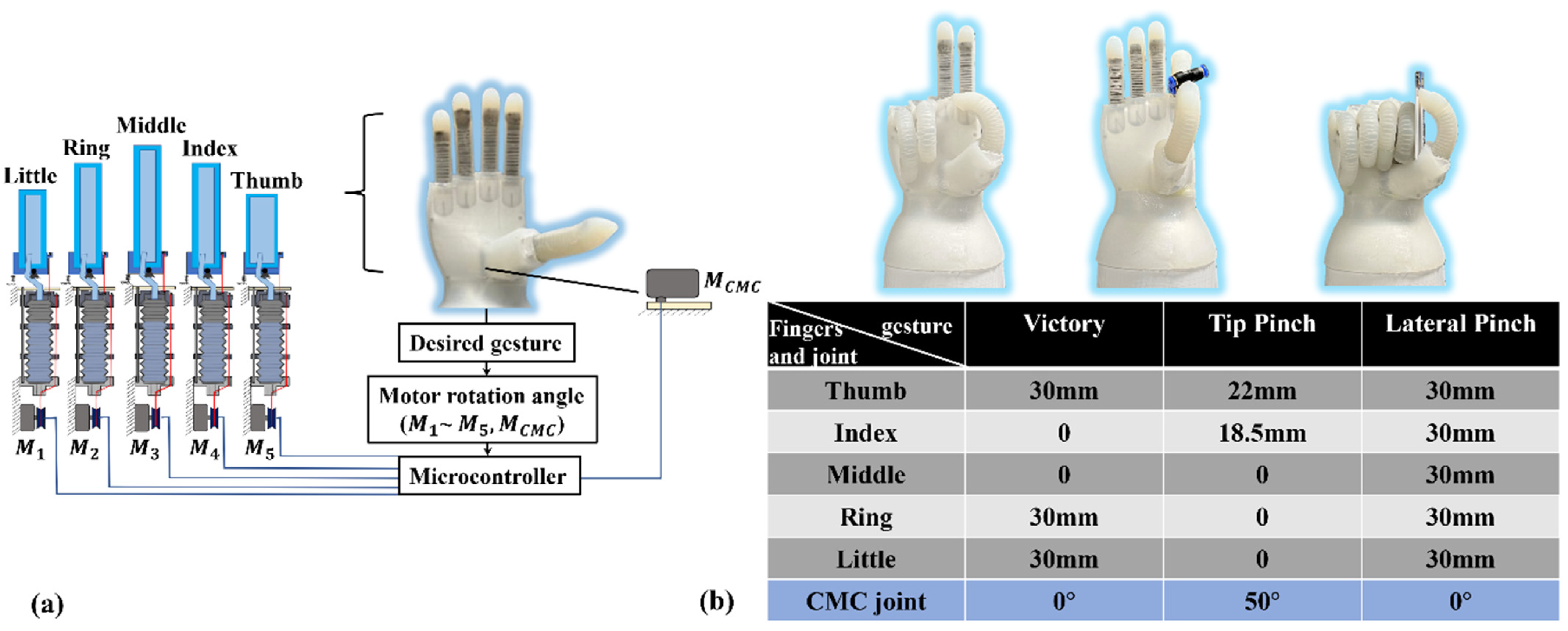 Biomimetics 07 00171 g010 Biomimetics 07 00171 g010