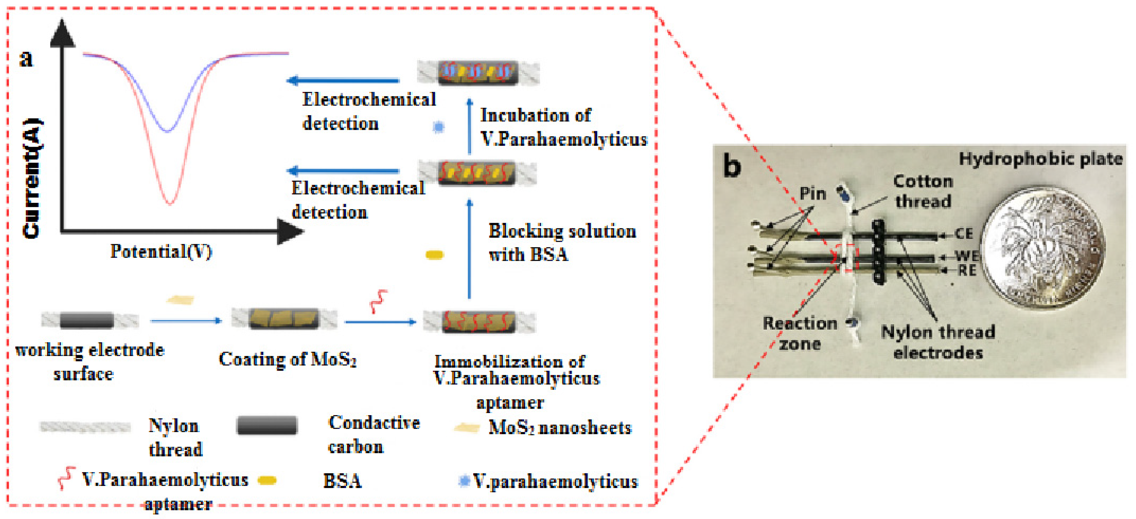 Biomimetics 07 00175 sch005 Biomimetics 07 00175 sch005