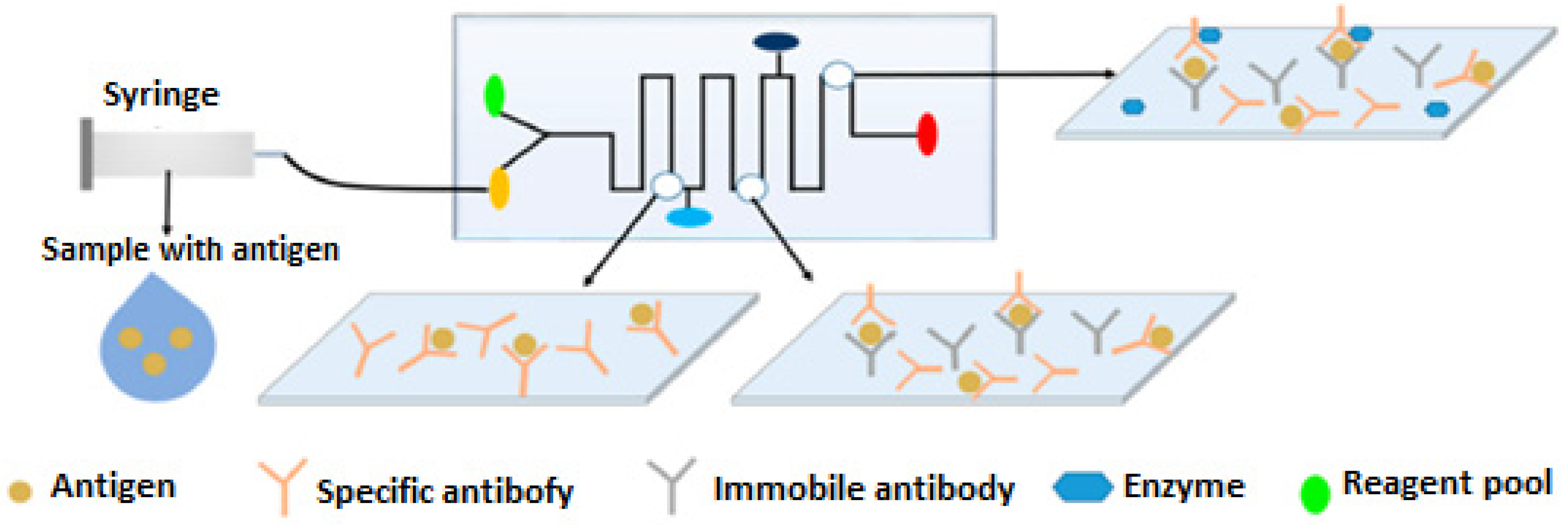 Biomimetics 07 00175 sch006 Biomimetics 07 00175 sch006