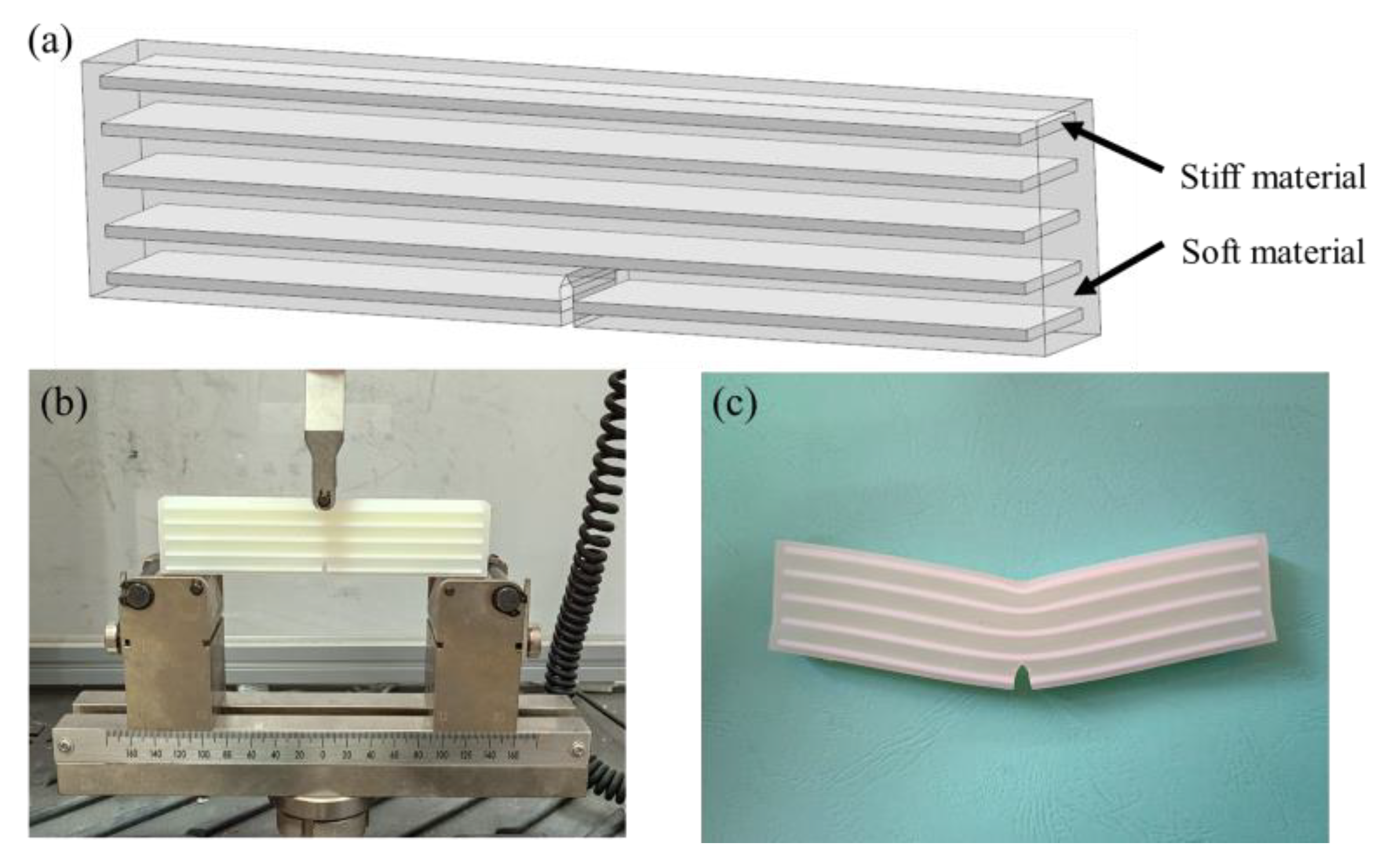 Biomimetics 07 00176 g020