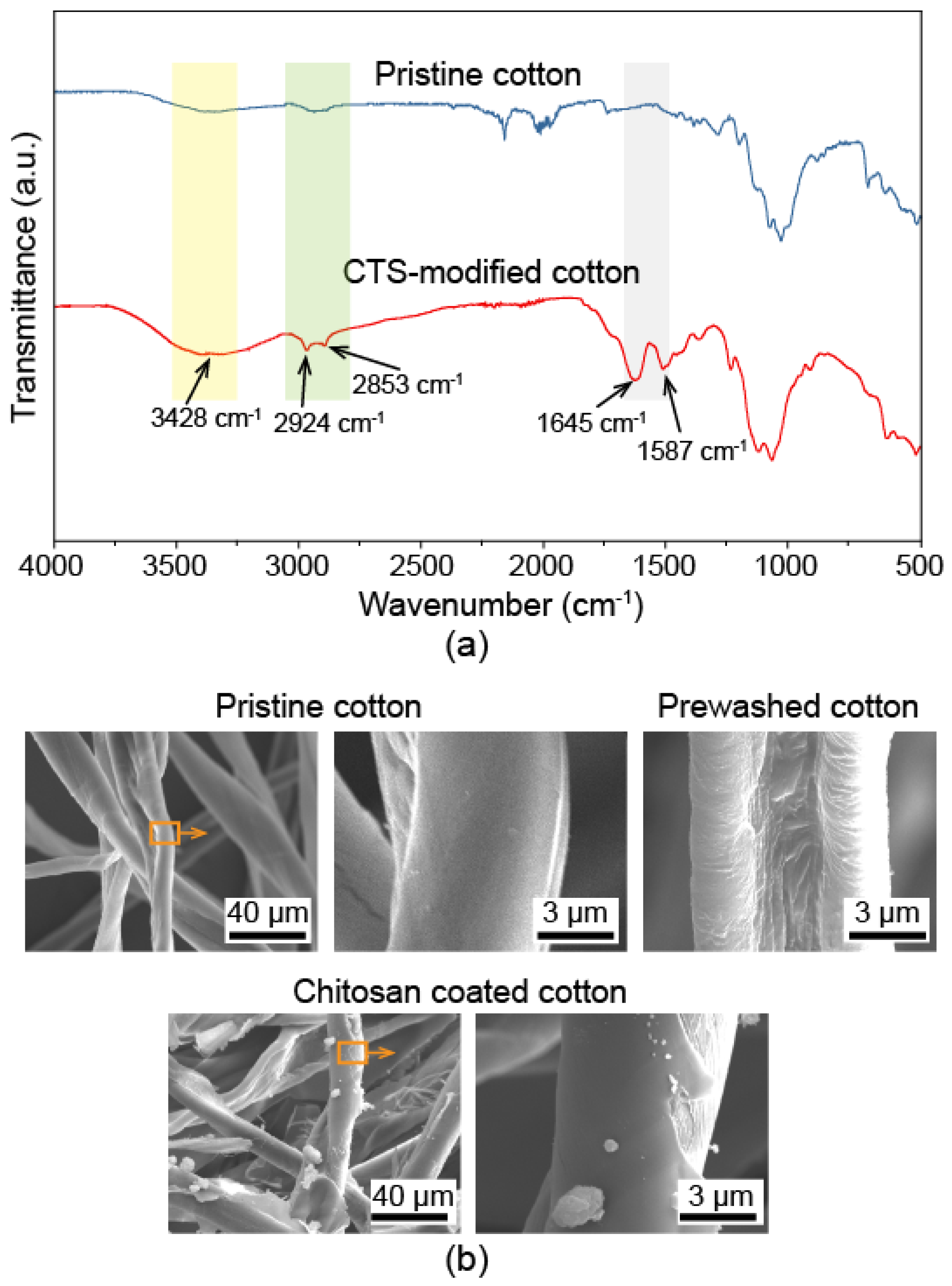 Biomimetics 07 00177 g002 Biomimetics 07 00177 g002
