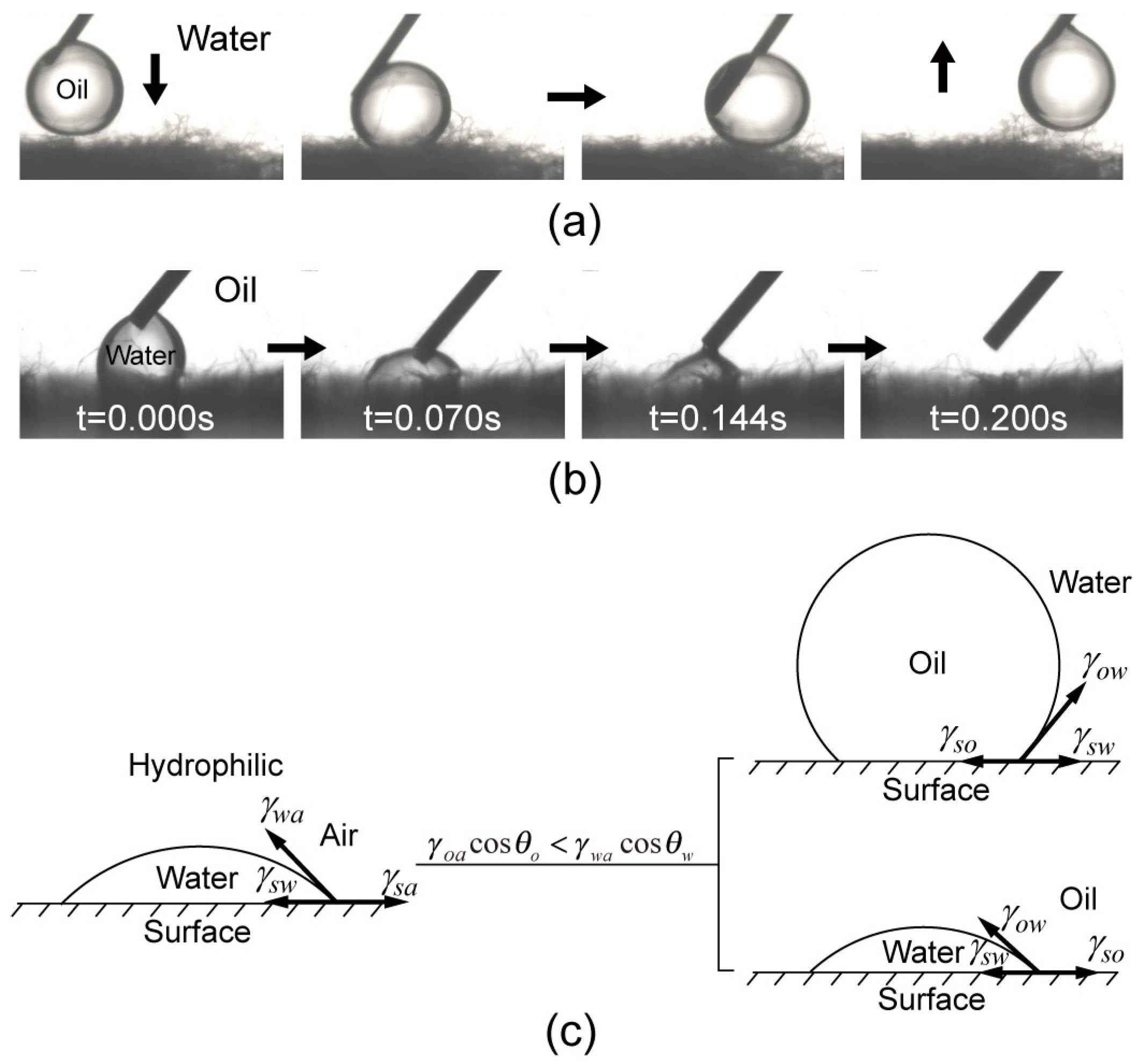 Biomimetics 07 00177 g004 Biomimetics 07 00177 g004