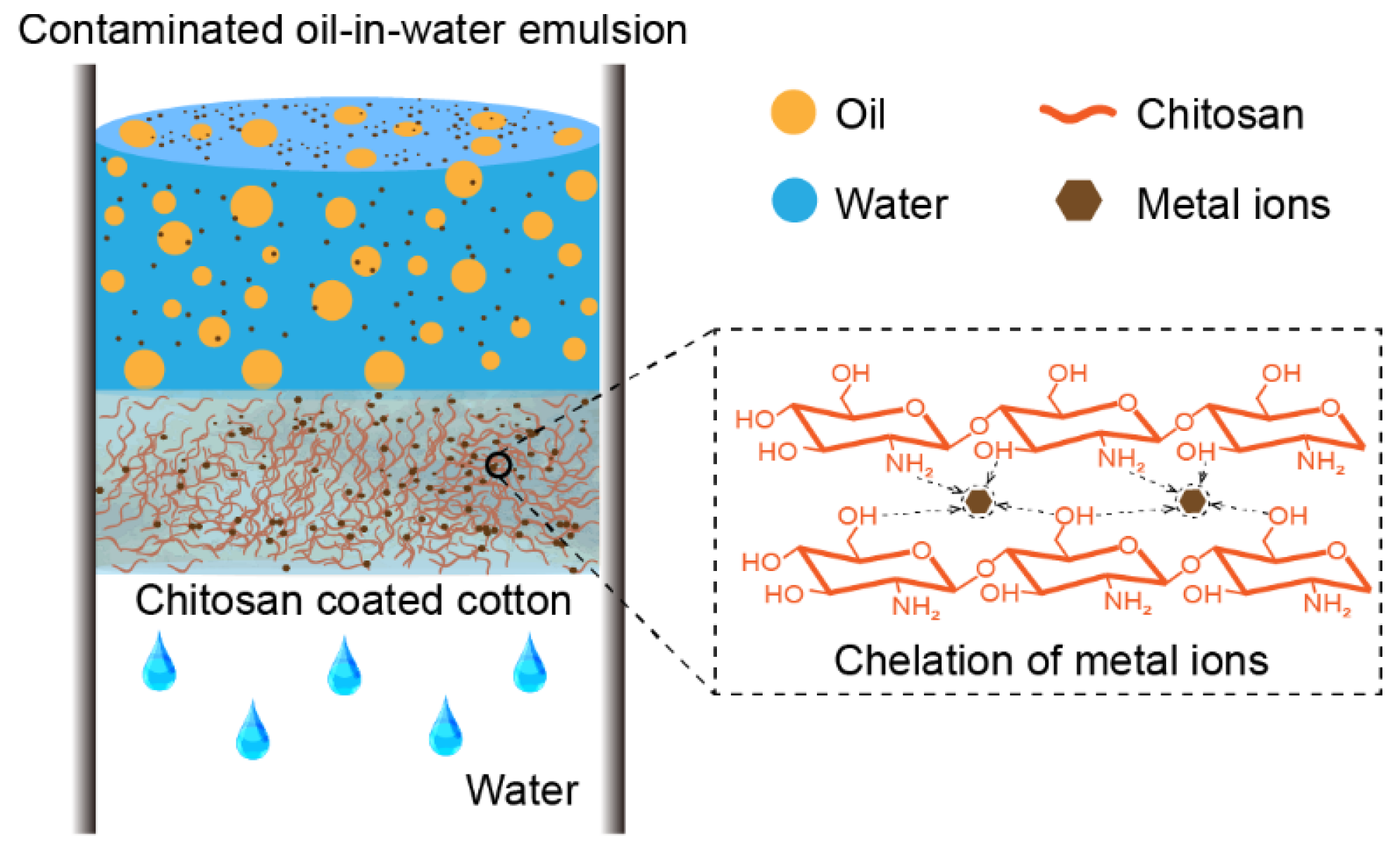 Biomimetics 07 00177 g007 Biomimetics 07 00177 g007