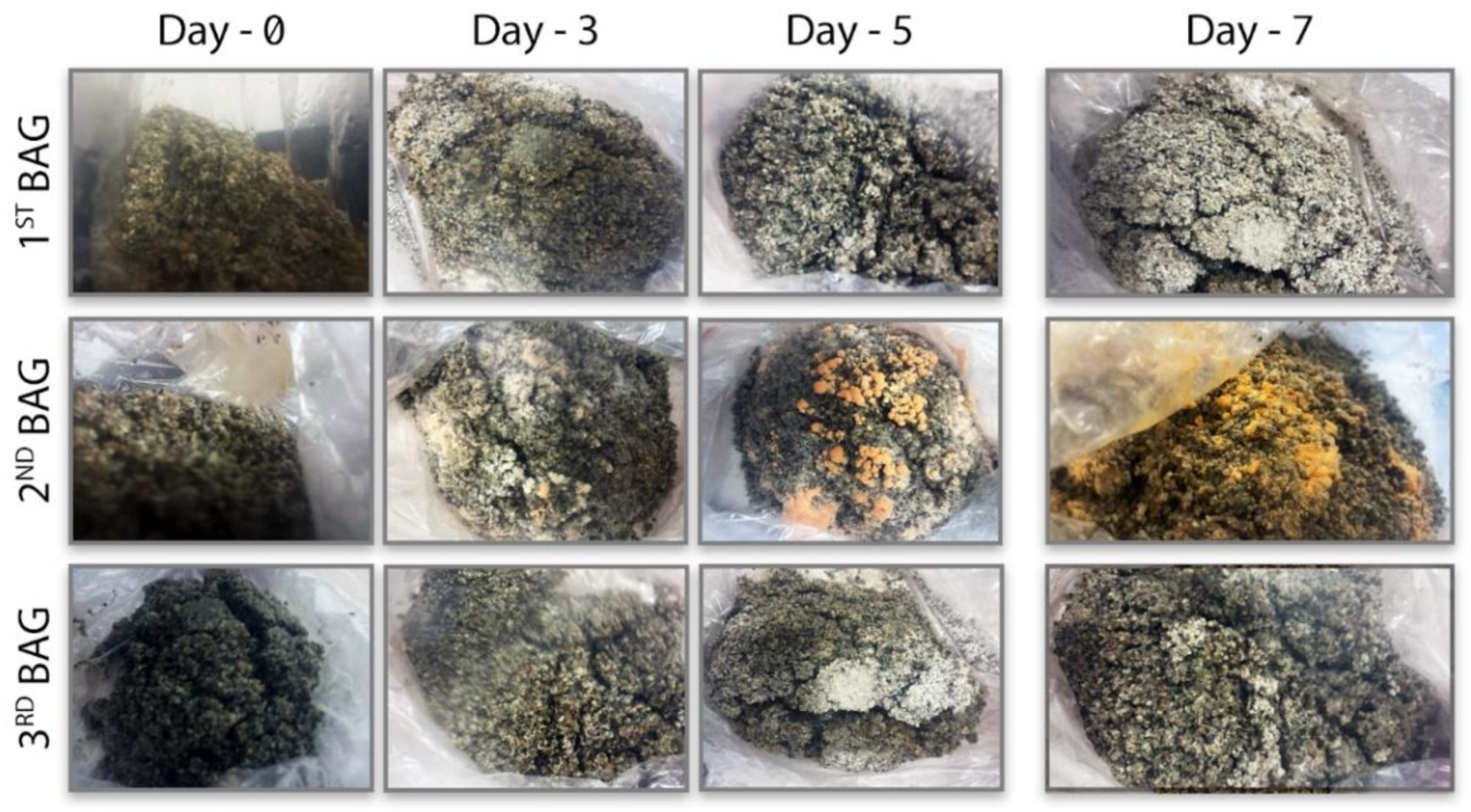 Biomimetics 07 00179 g005 Biomimetics 07 00179 g005