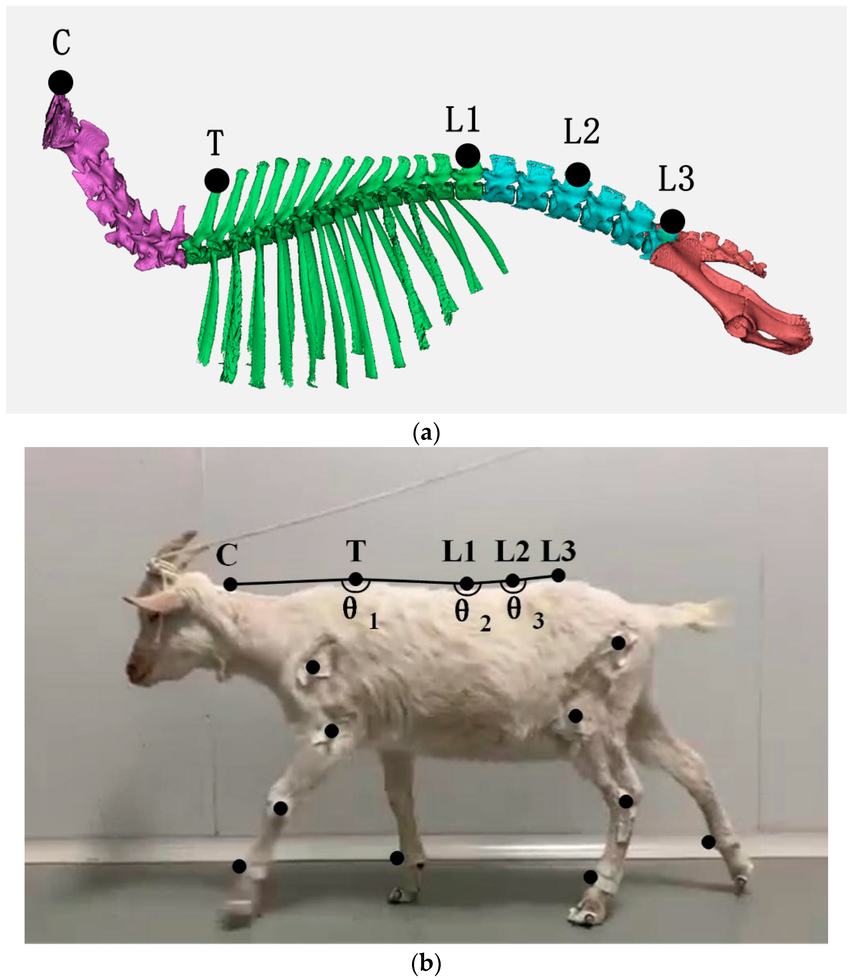 Biomimetics 07 00181 g001 Biomimetics 07 00181 g001