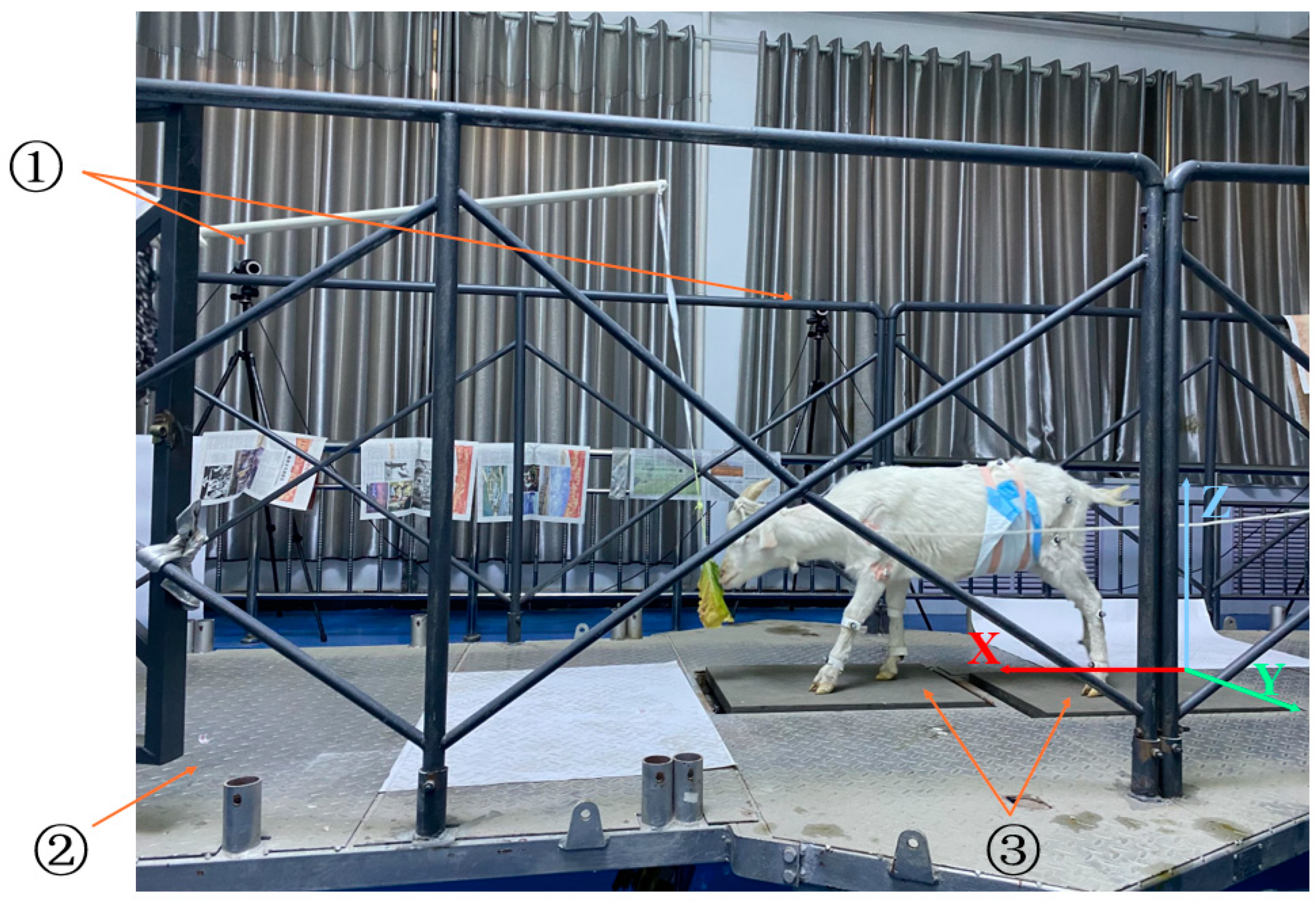 Biomimetics 07 00181 g002 Biomimetics 07 00181 g002