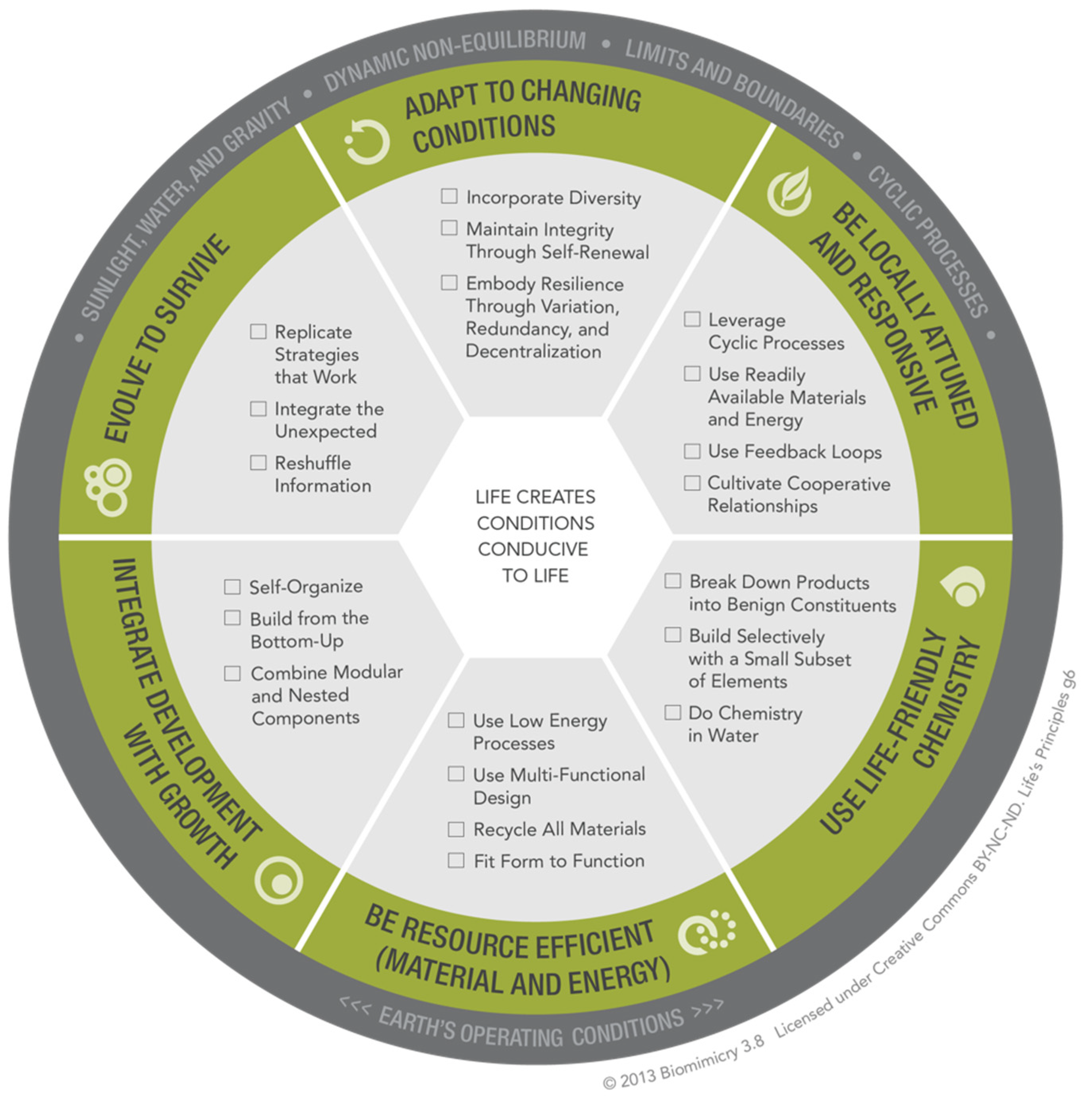 Biomimetics 07 00184 g001