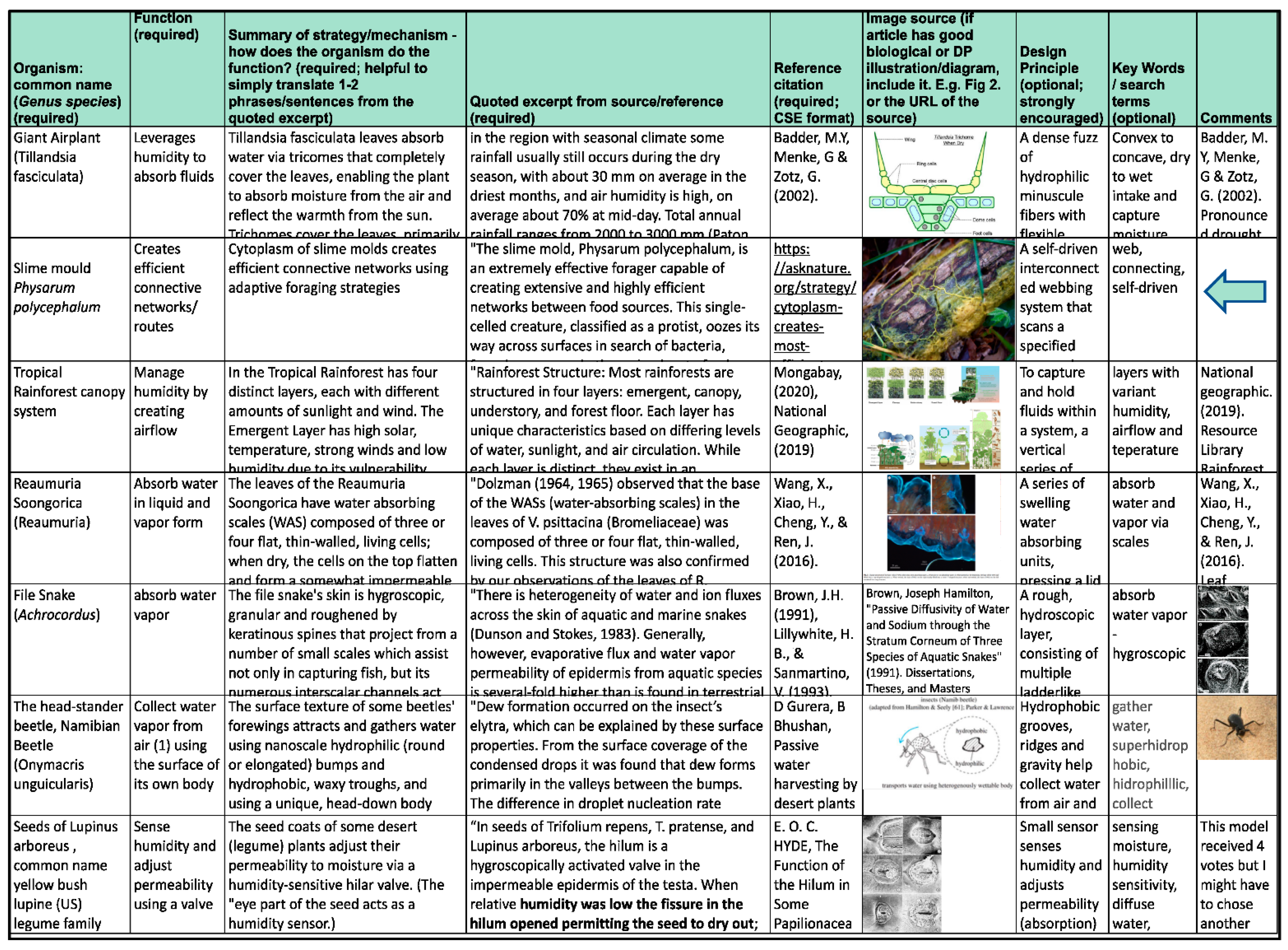 Biomimetics 07 00184 g003